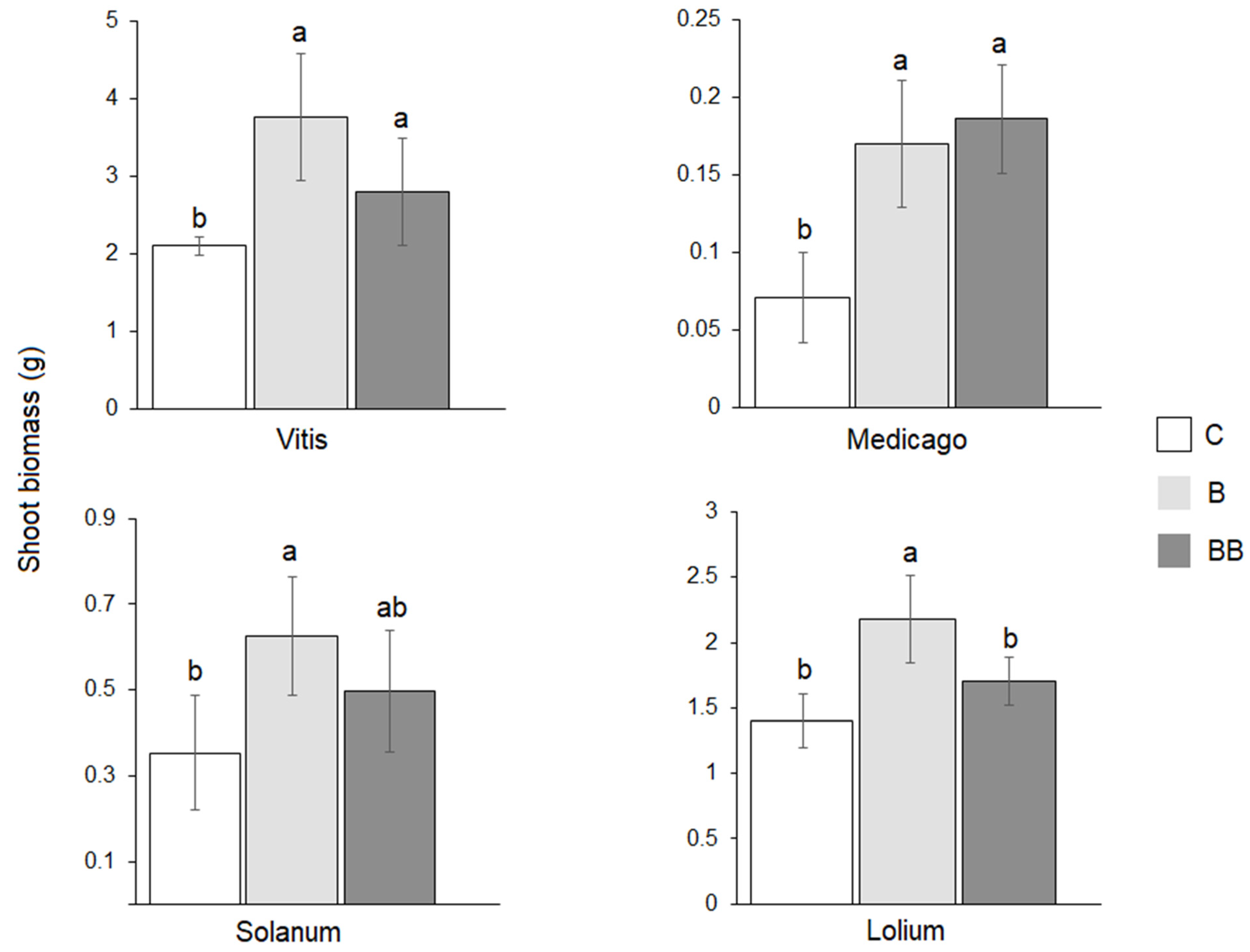Microorganisms 12 00810 g001