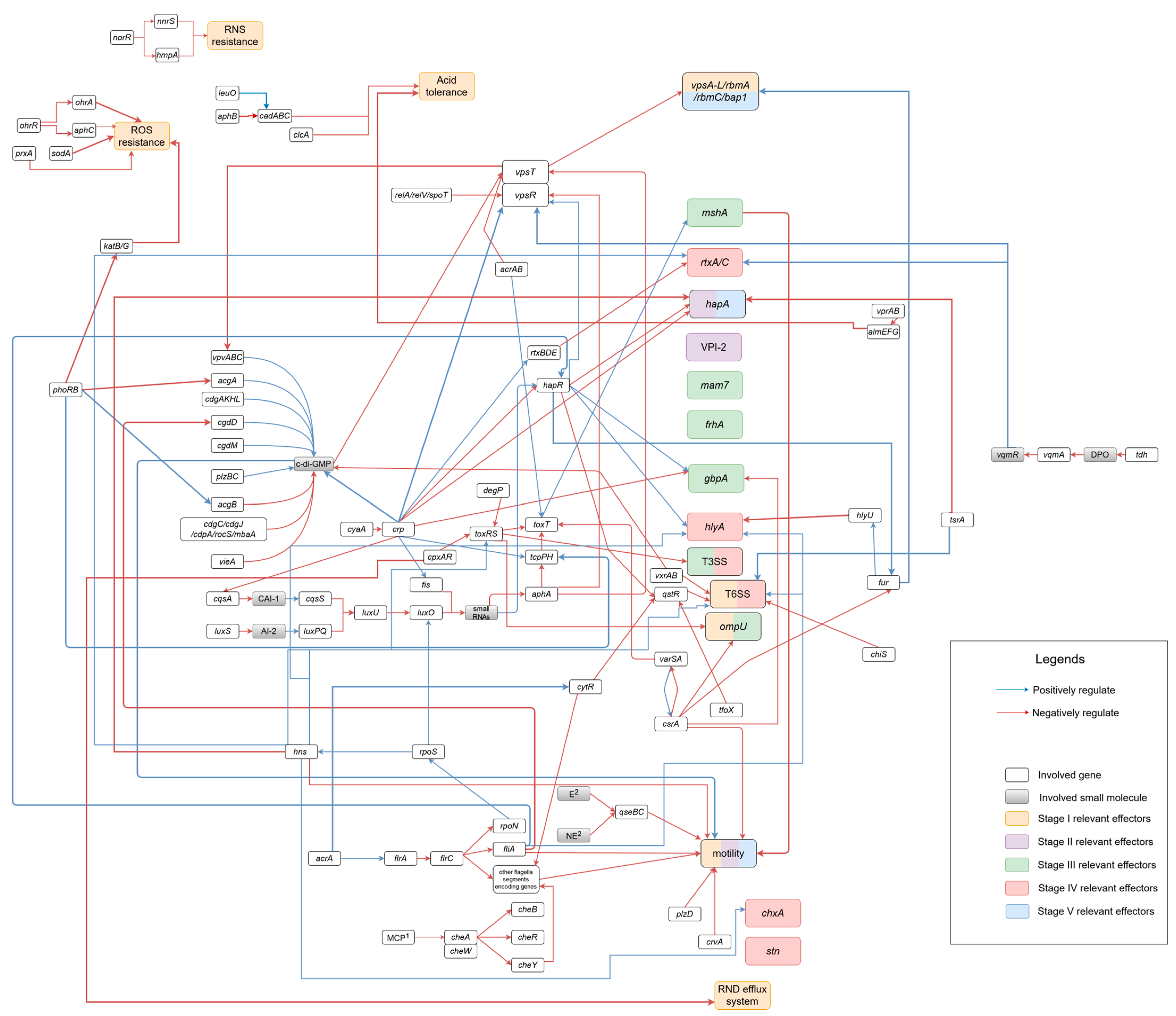 Microorganisms 12 00818 g001 Microorganisms 12 00818 g001