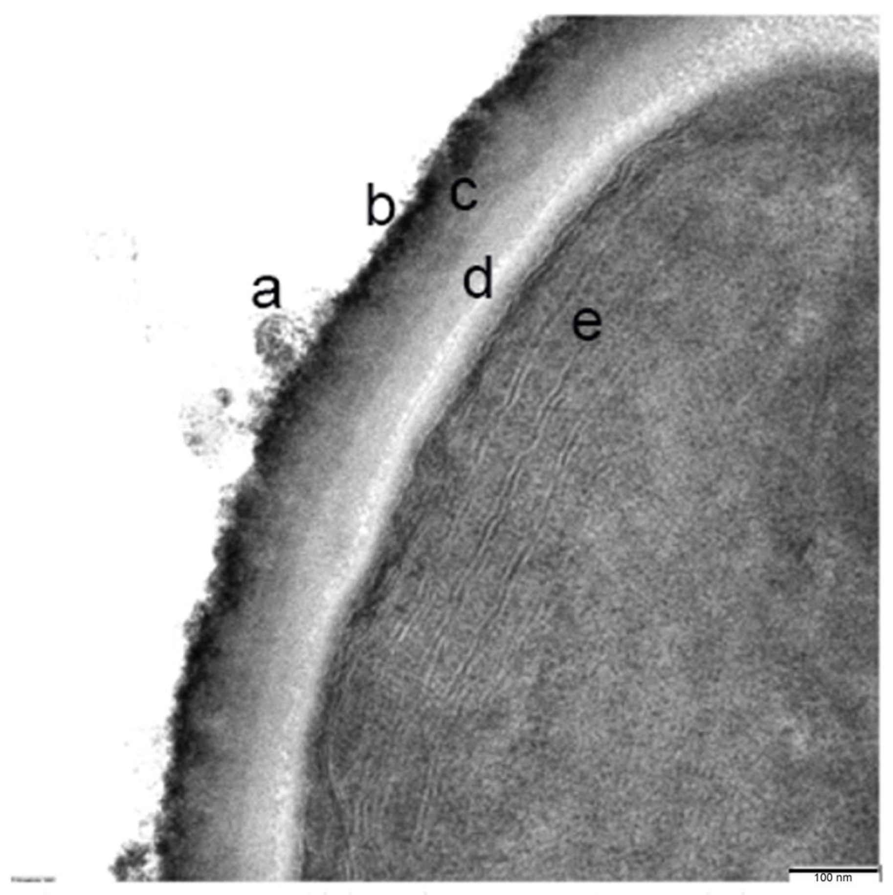 Microorganisms 12 00829 g007 Microorganisms 12 00829 g007