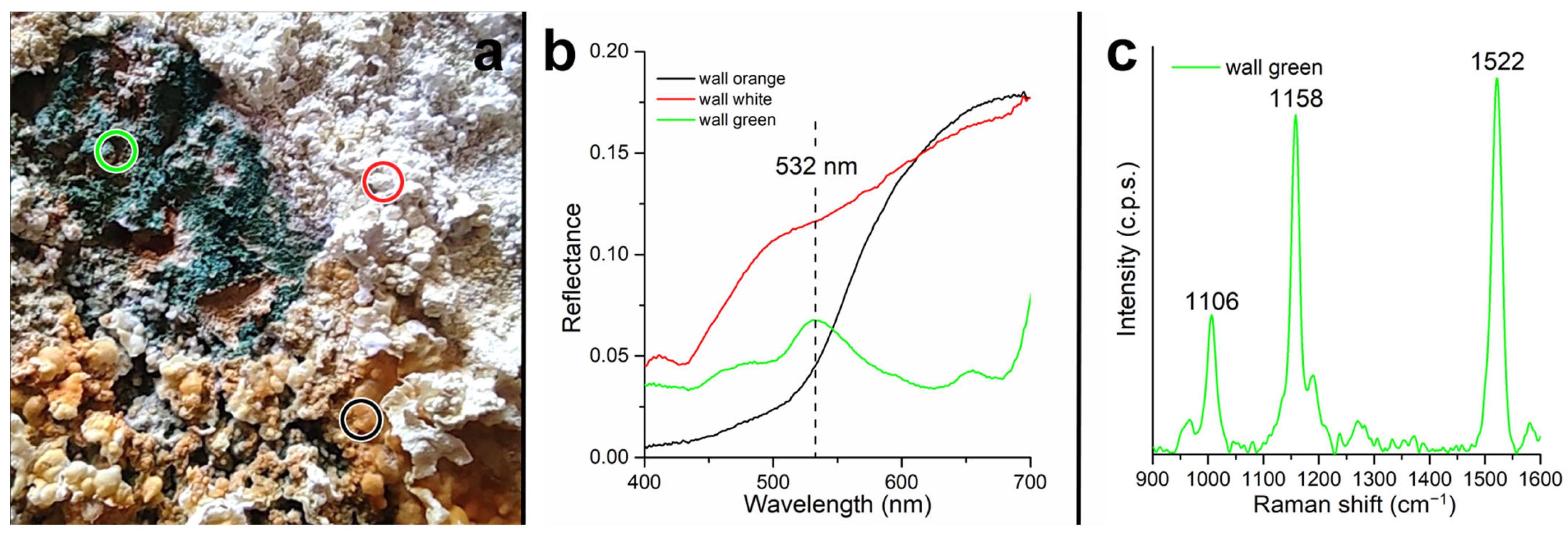 Microorganisms 12 00829 g011 Microorganisms 12 00829 g011