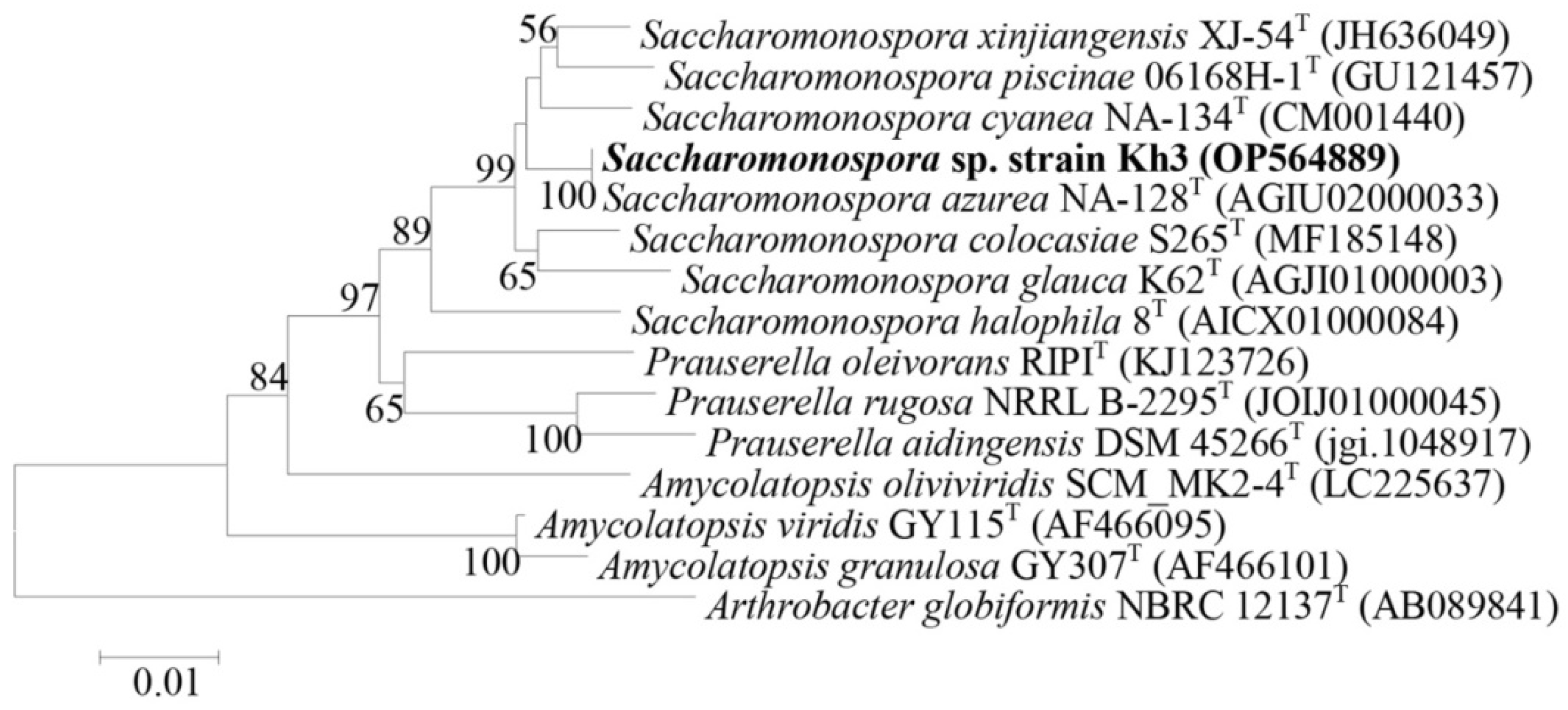 Microorganisms 12 00834 g003 Microorganisms 12 00834 g003