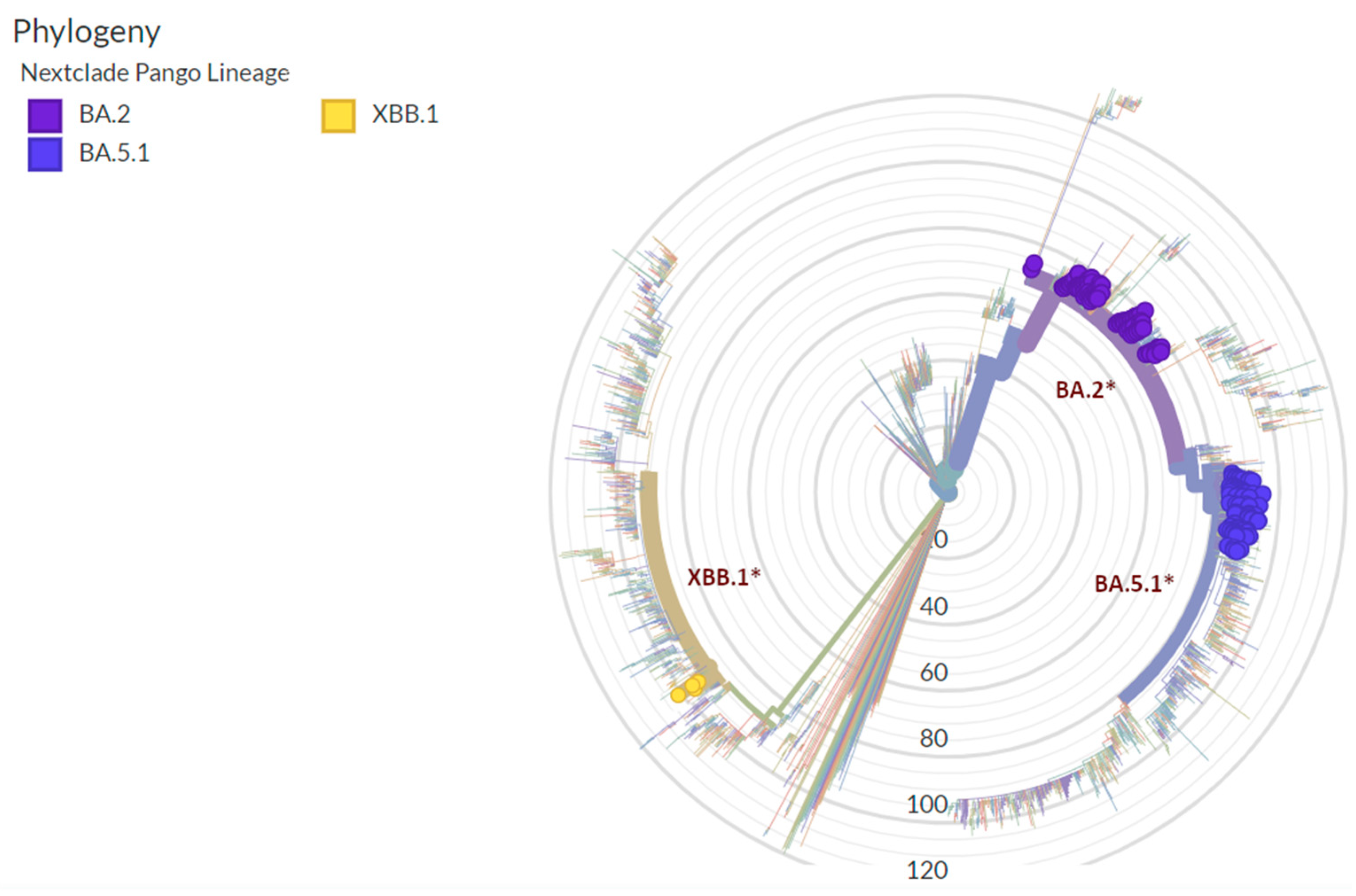 Microorganisms 12 00846 g005