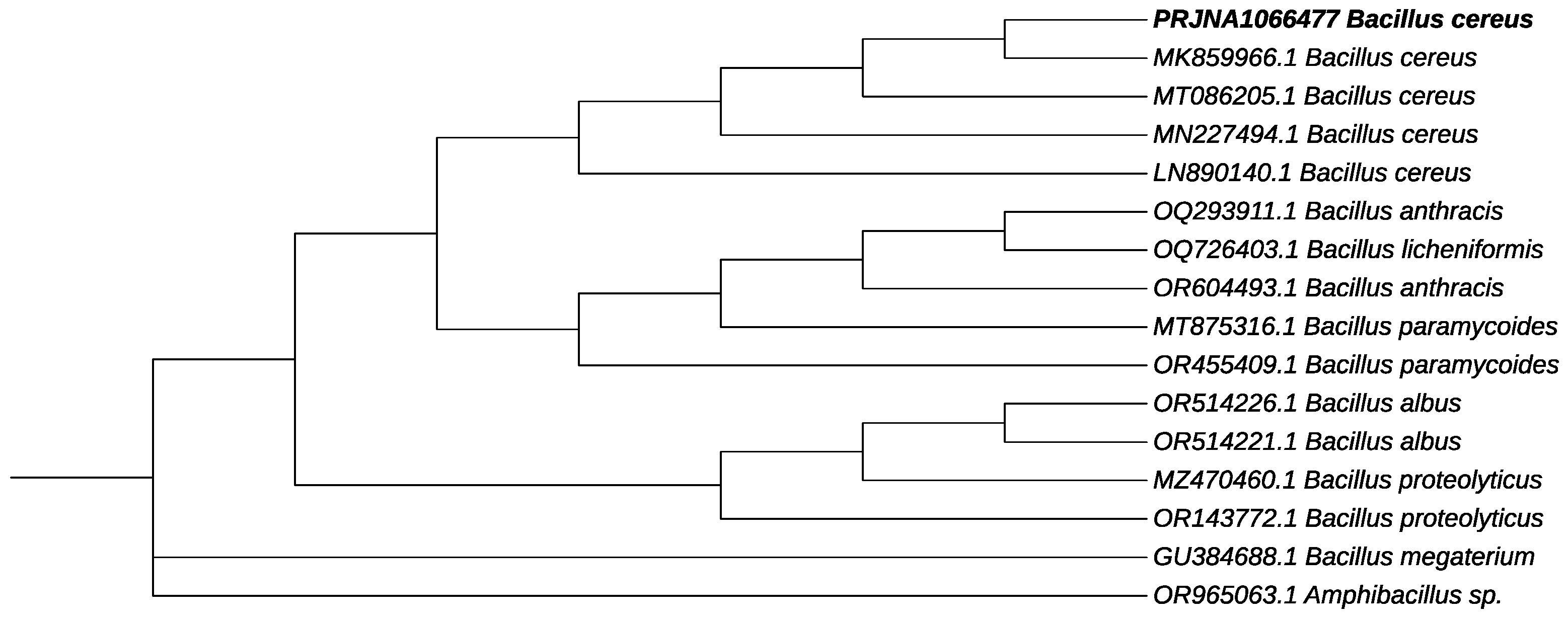 Microorganisms 12 00863 g003