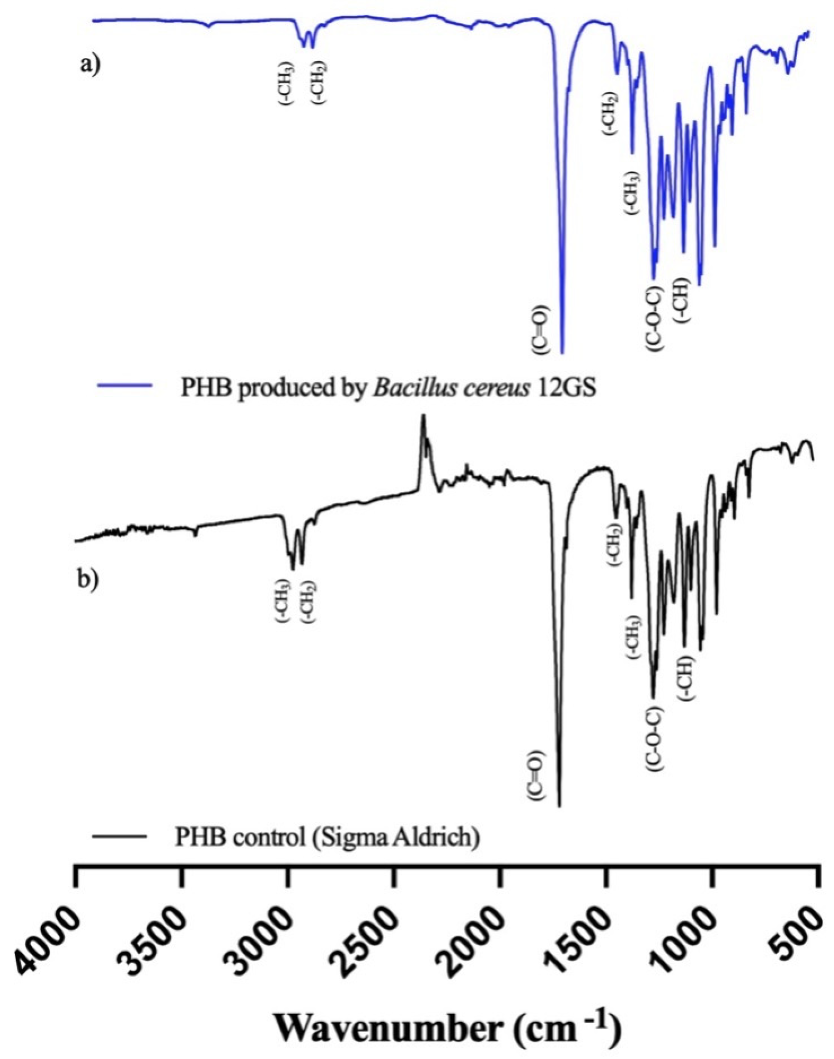 Microorganisms 12 00863 g006