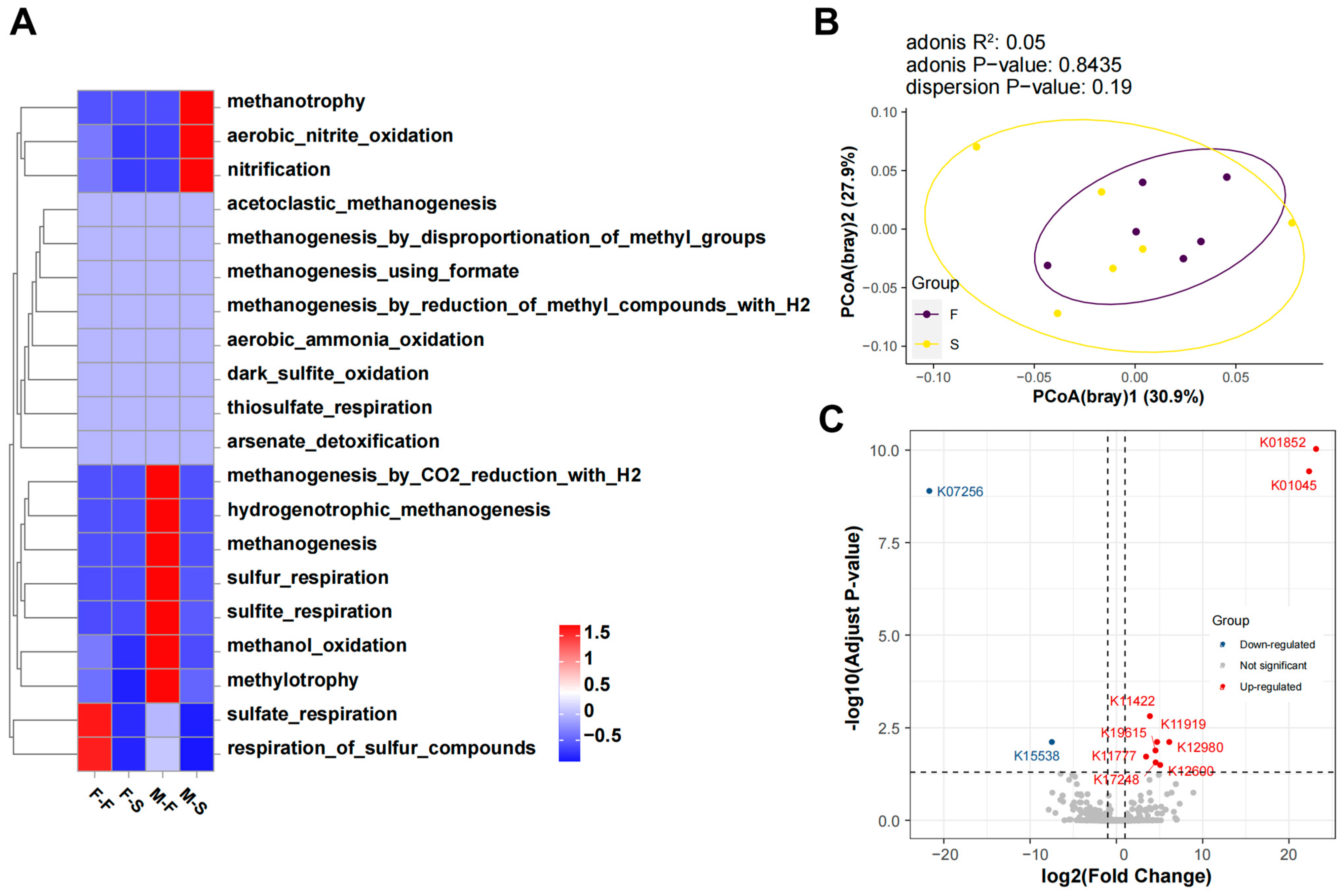 Microorganisms 12 00871 g004