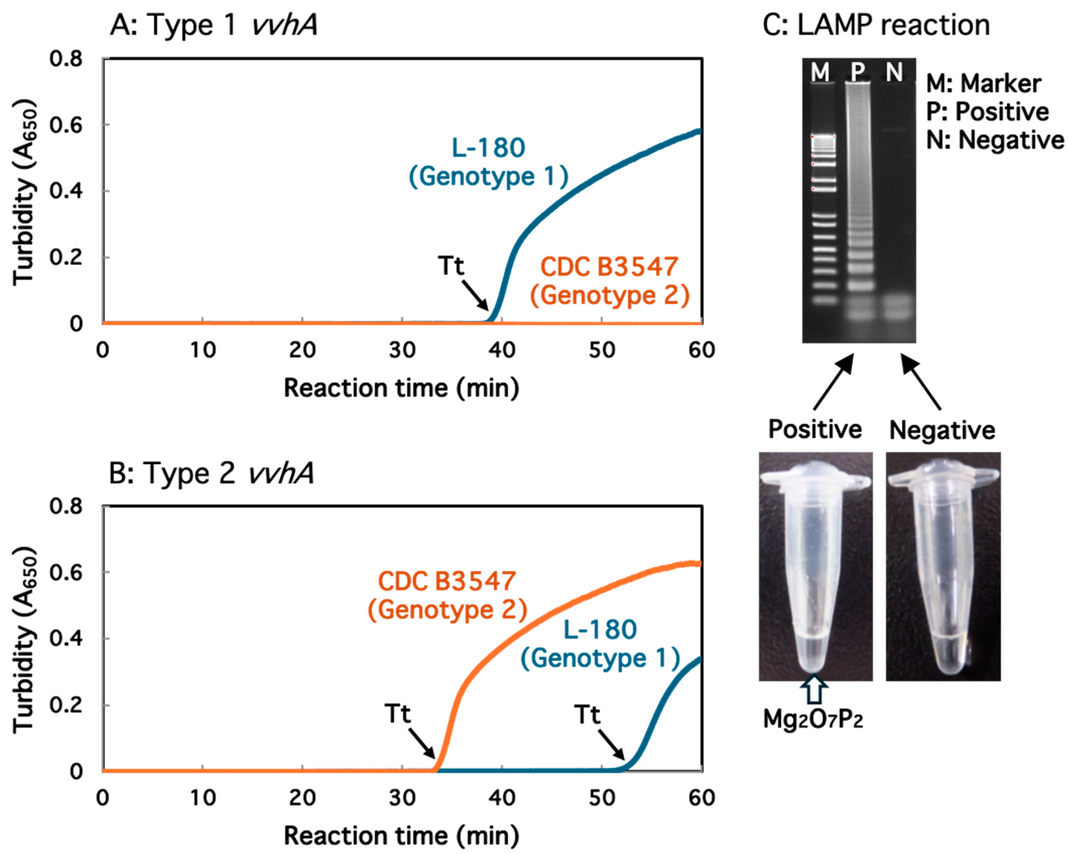 Microorganisms 12 00877 g004