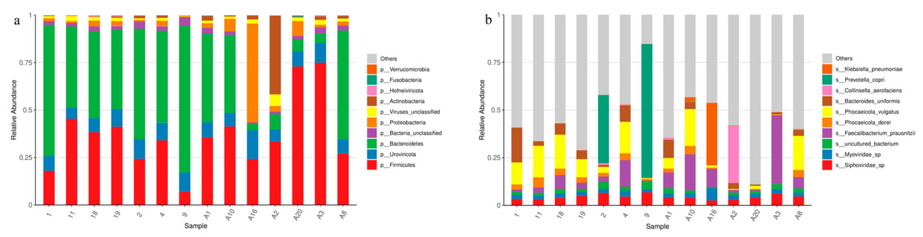 Microorganisms 12 00881 g001