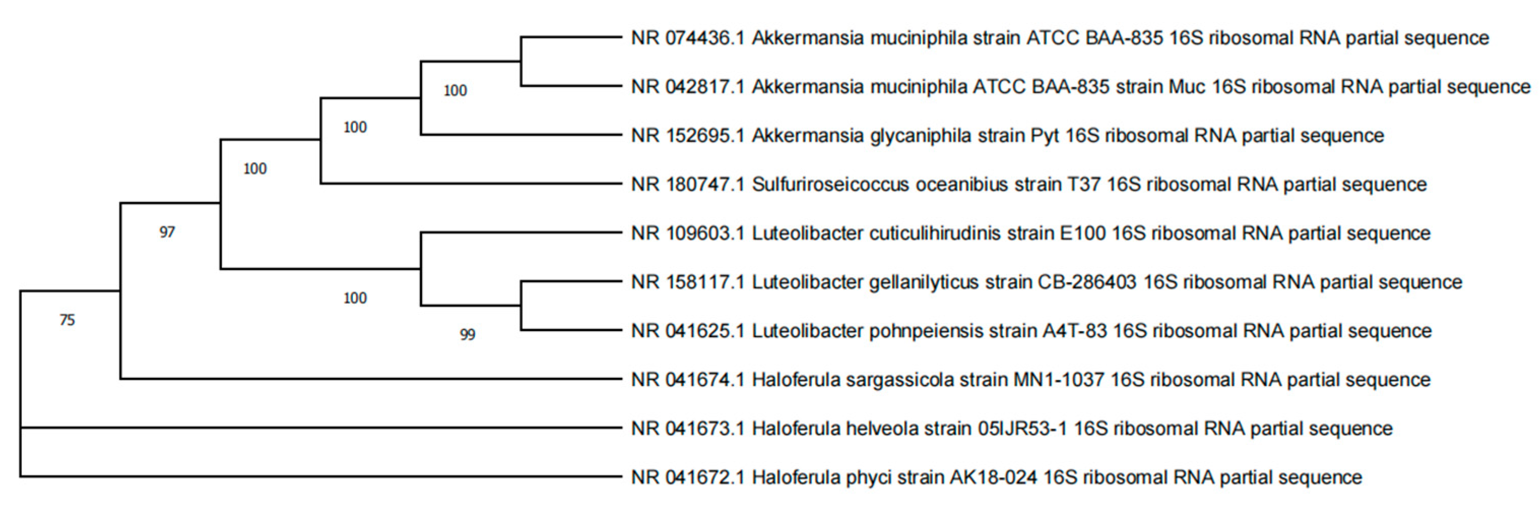 Microorganisms 12 00881 g004