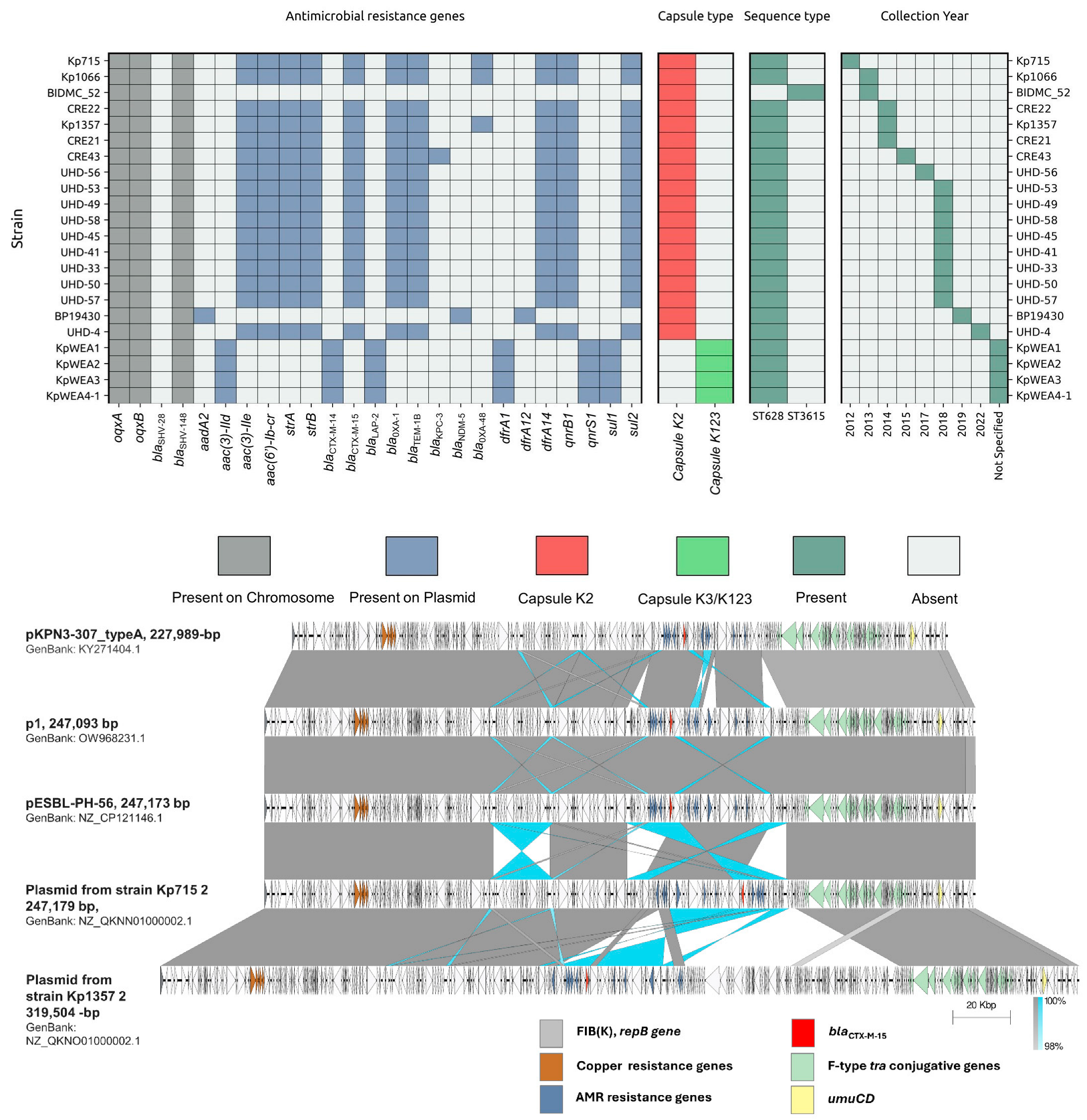 Microorganisms 12 00883 g005