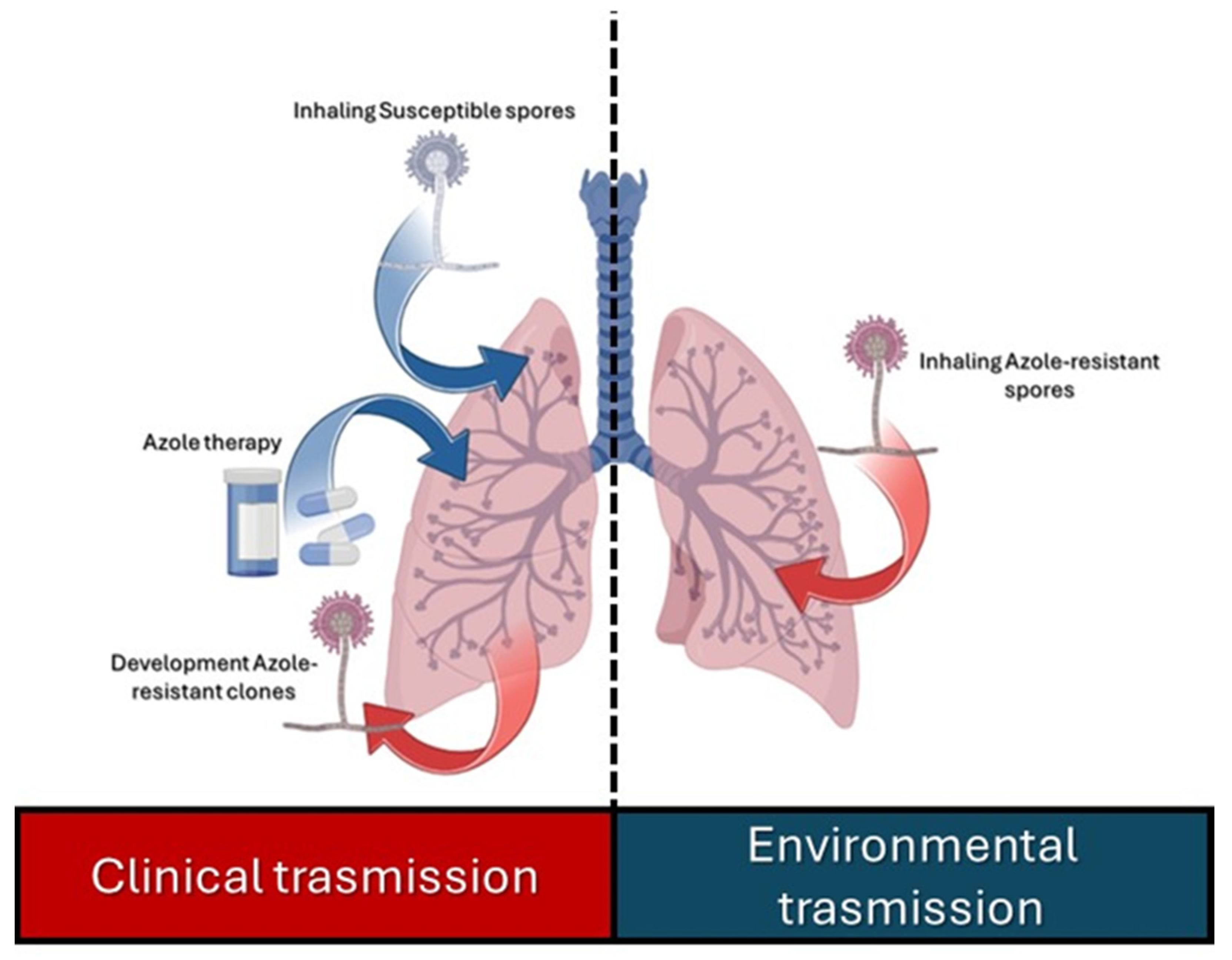 Microorganisms 12 00886 g003 Microorganisms 12 00886 g003