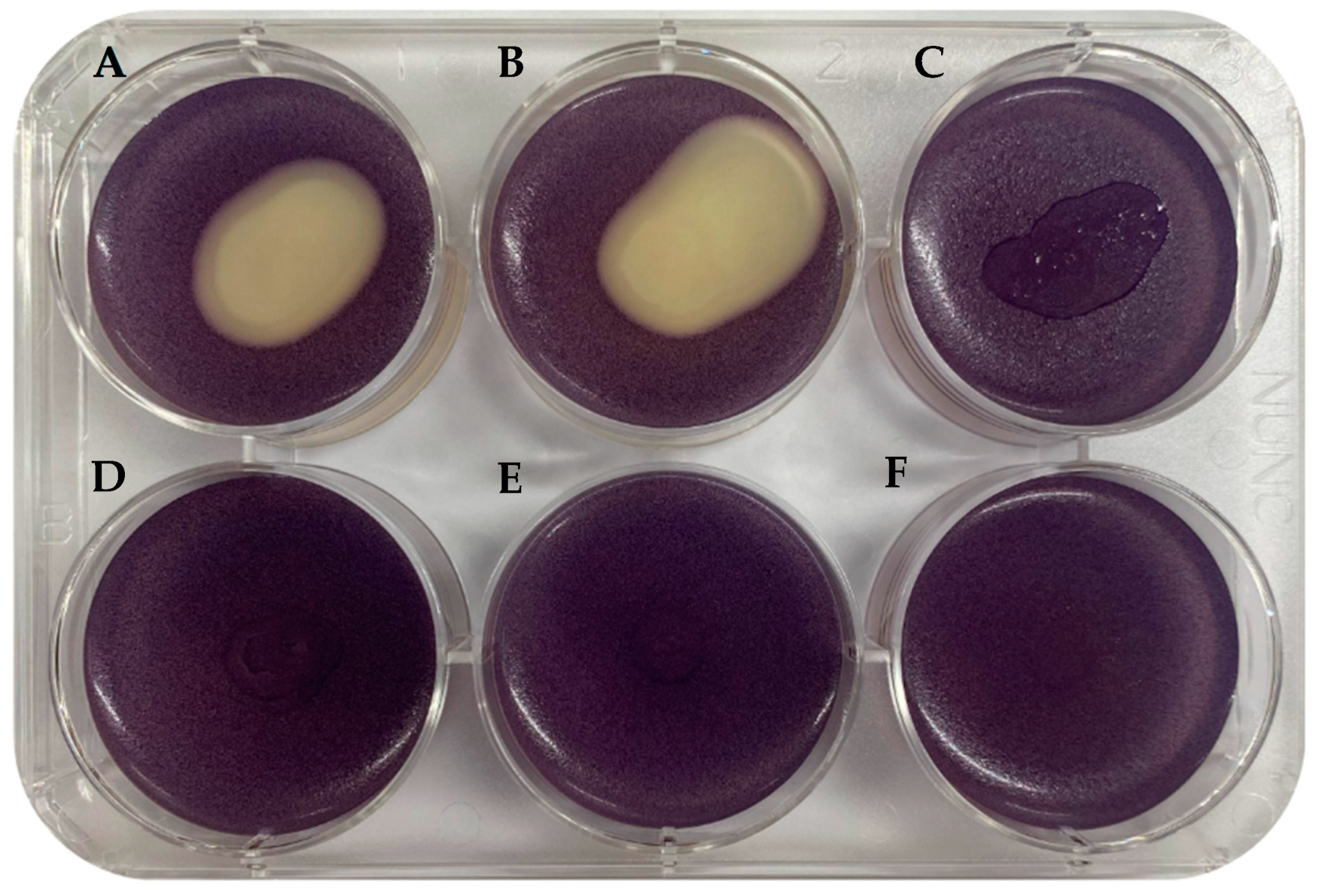 Microorganisms 12 00890 g001