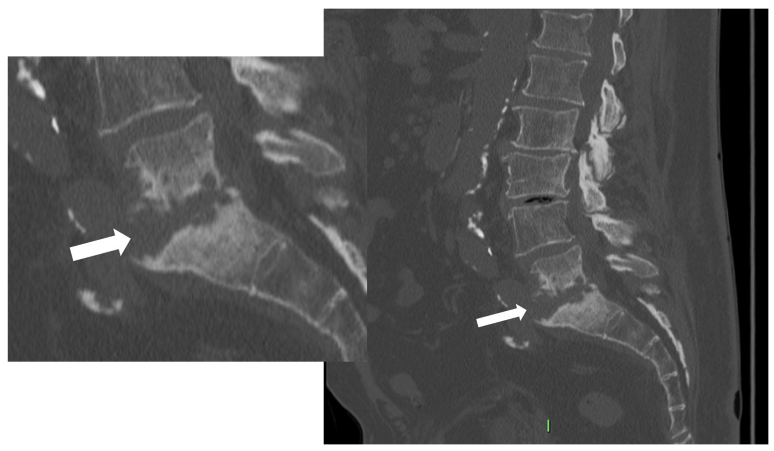 Microorganisms 12 00893 g003