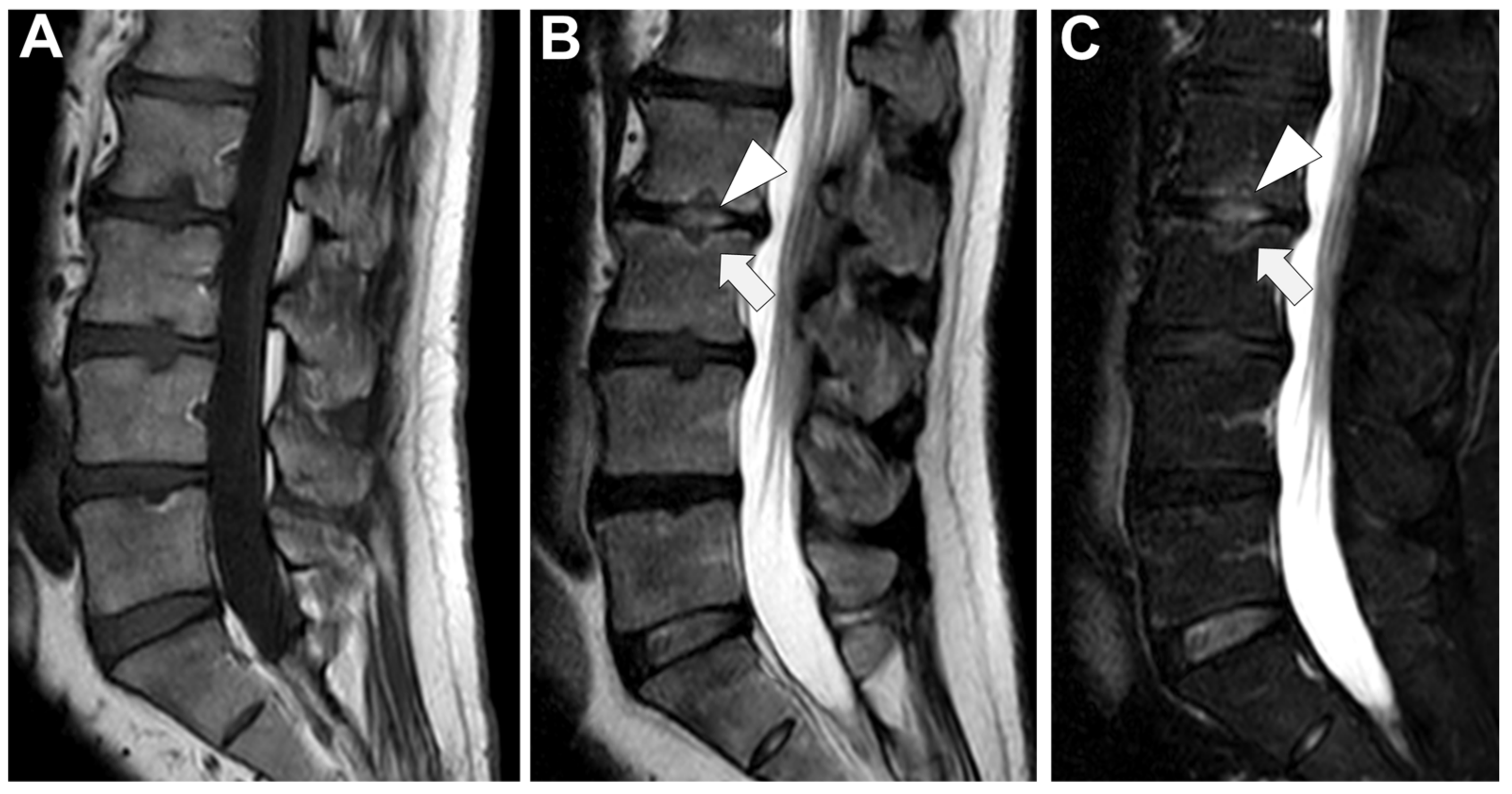 Microorganisms 12 00893 g009