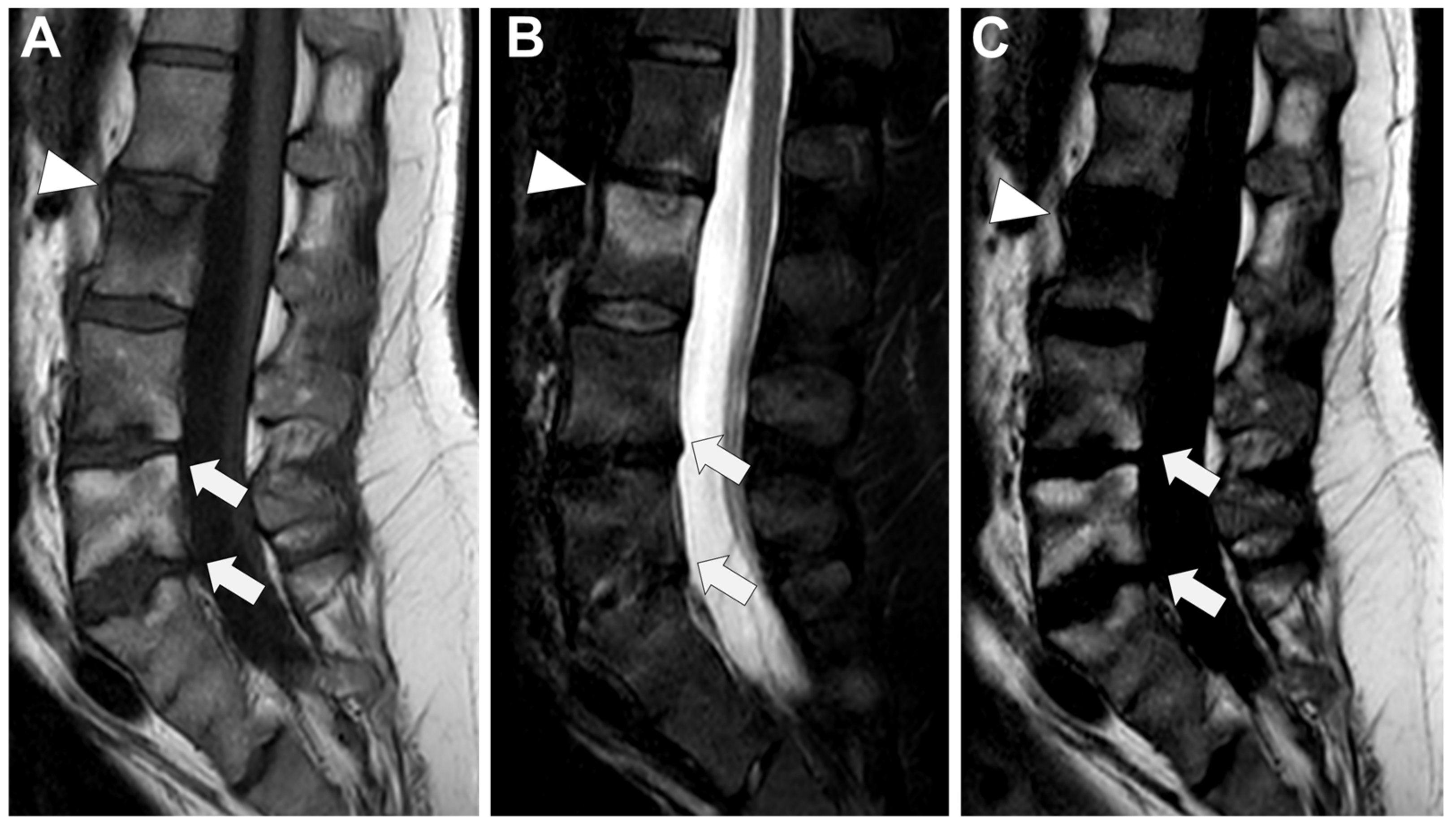 Microorganisms 12 00893 g010