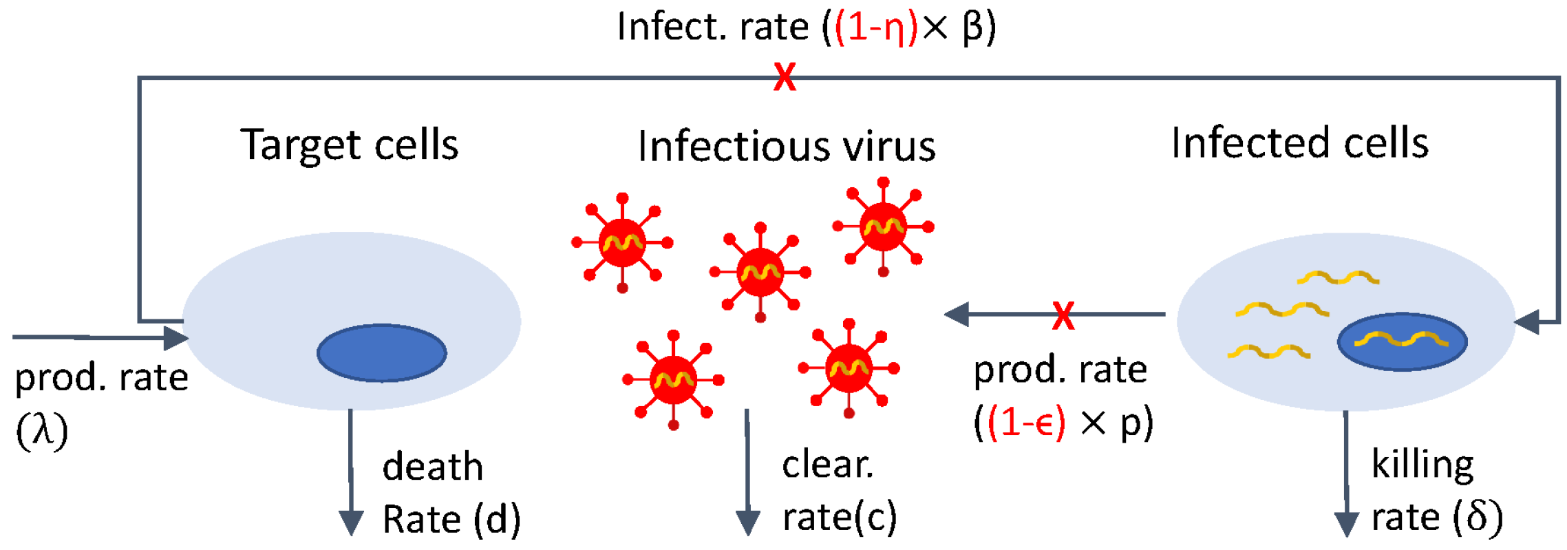 Microorganisms 12 00900 g001