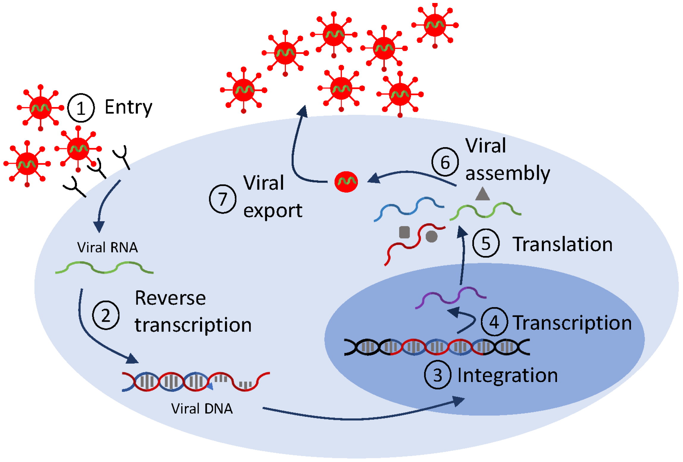 Microorganisms 12 00900 g002