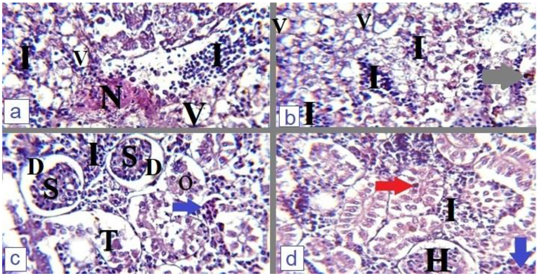 Microorganisms 12 00901 g003