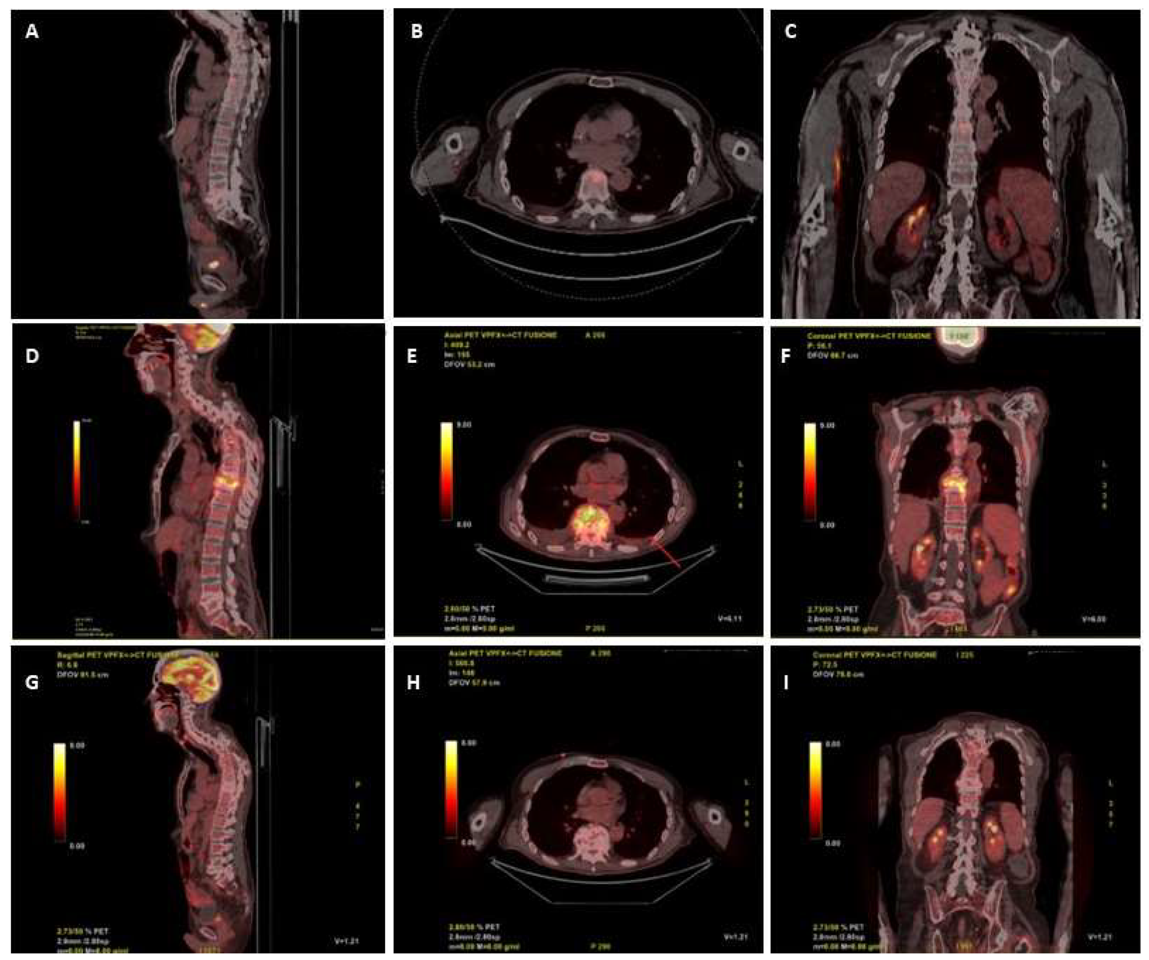 Microorganisms 12 00903 g001