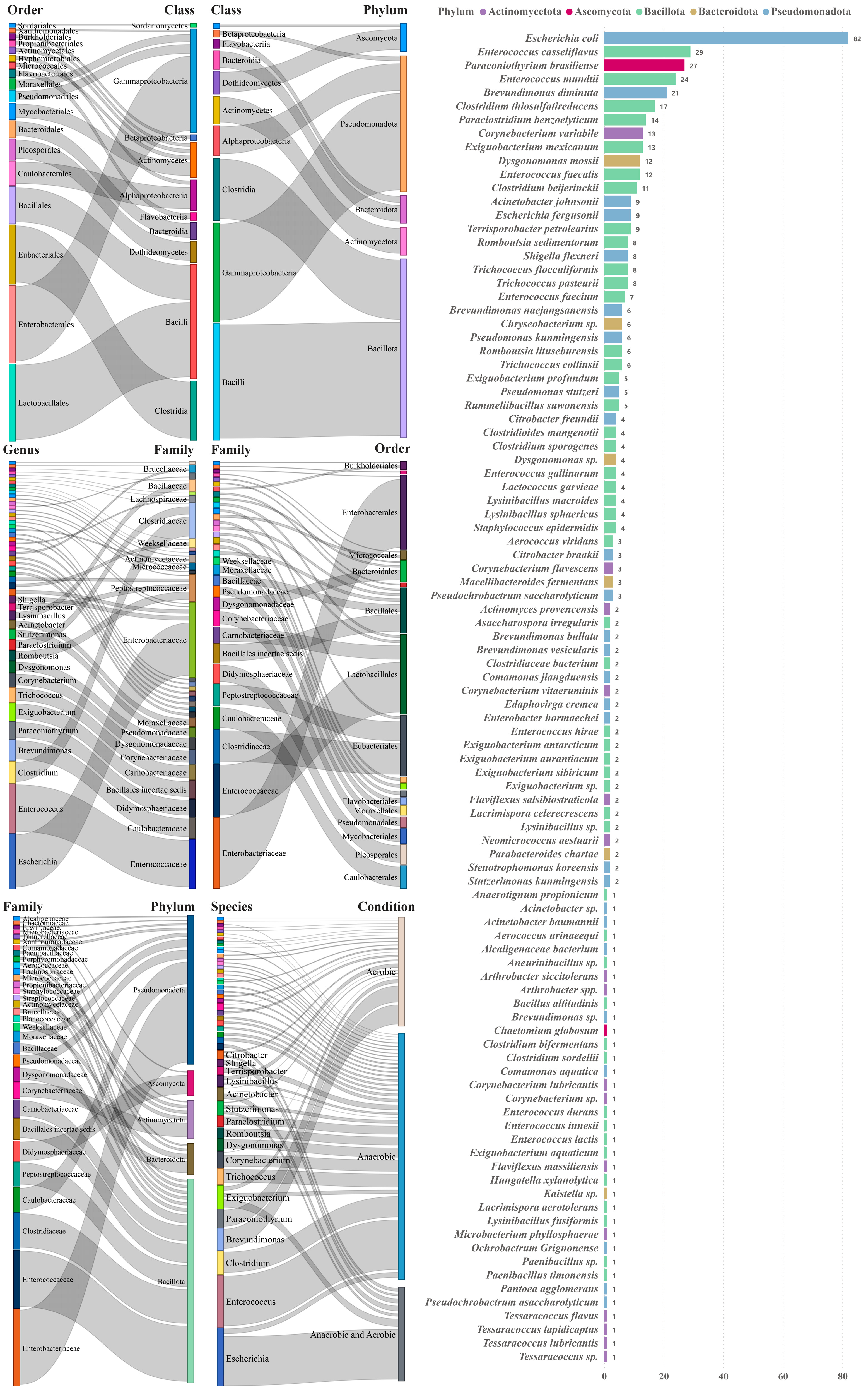 Microorganisms 12 00911 g003