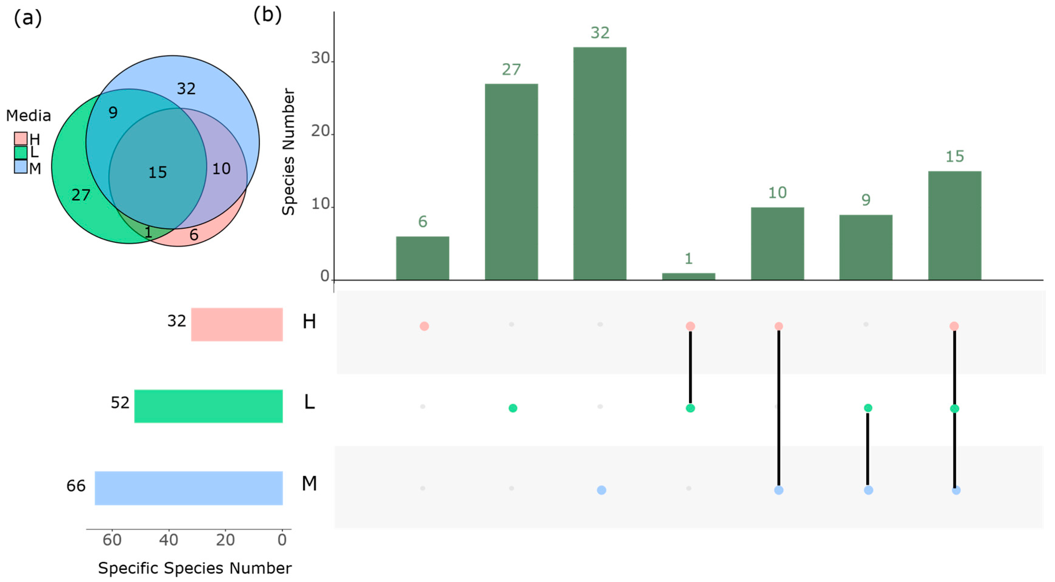 Microorganisms 12 00911 g004