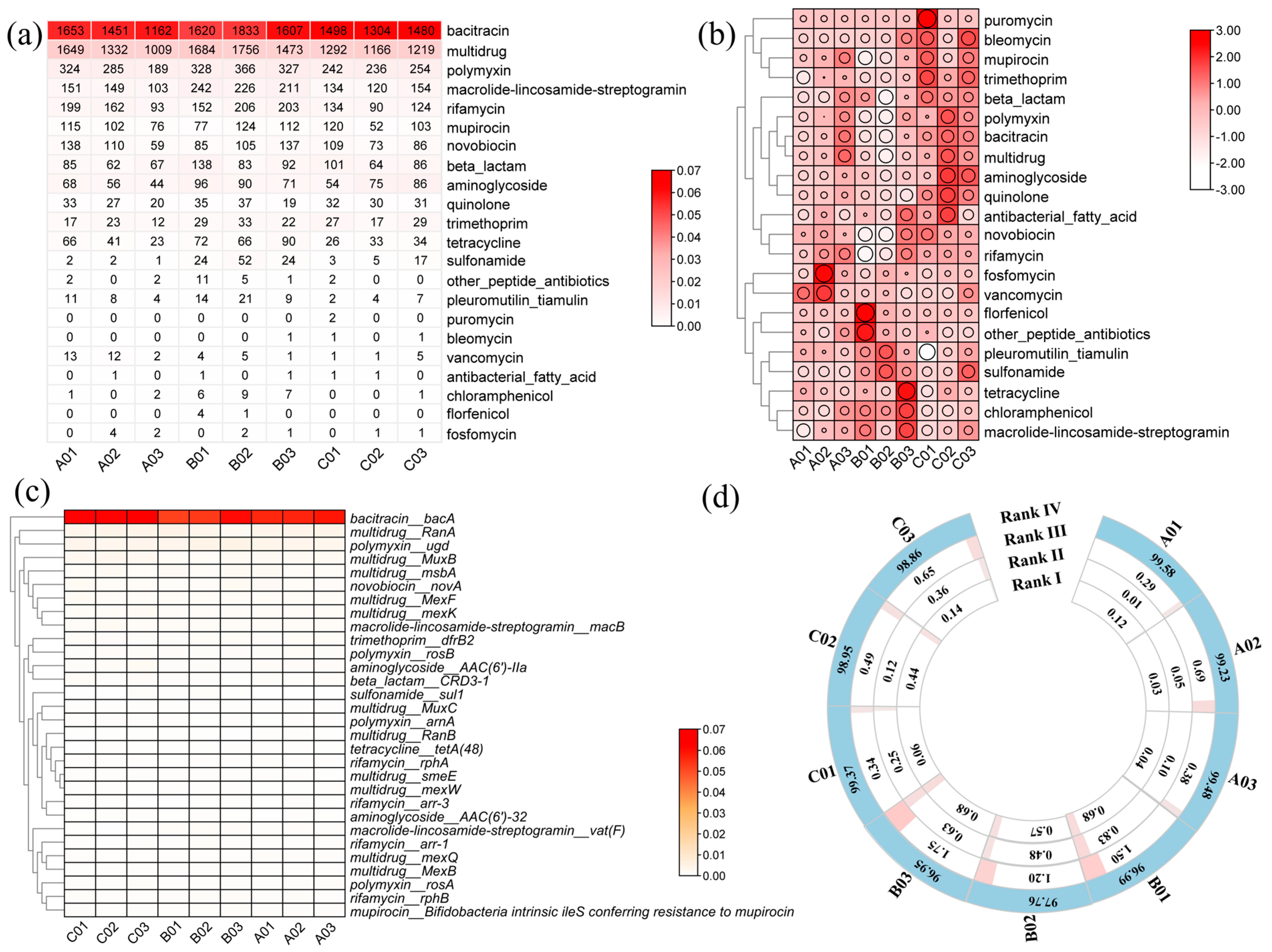 Microorganisms 12 00911 g006