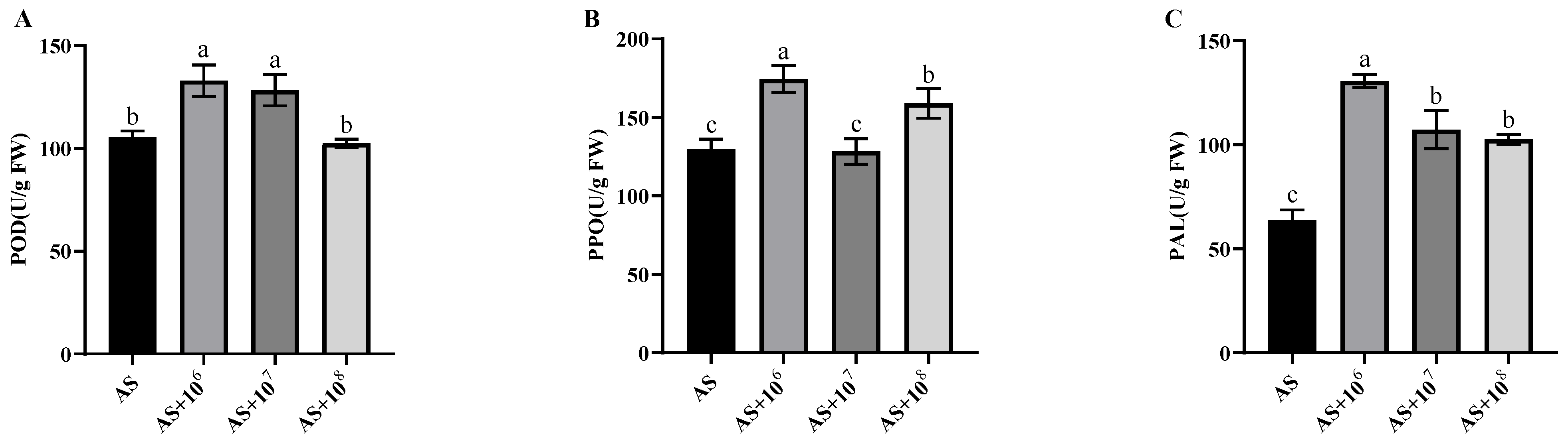 Microorganisms 12 00921 g004