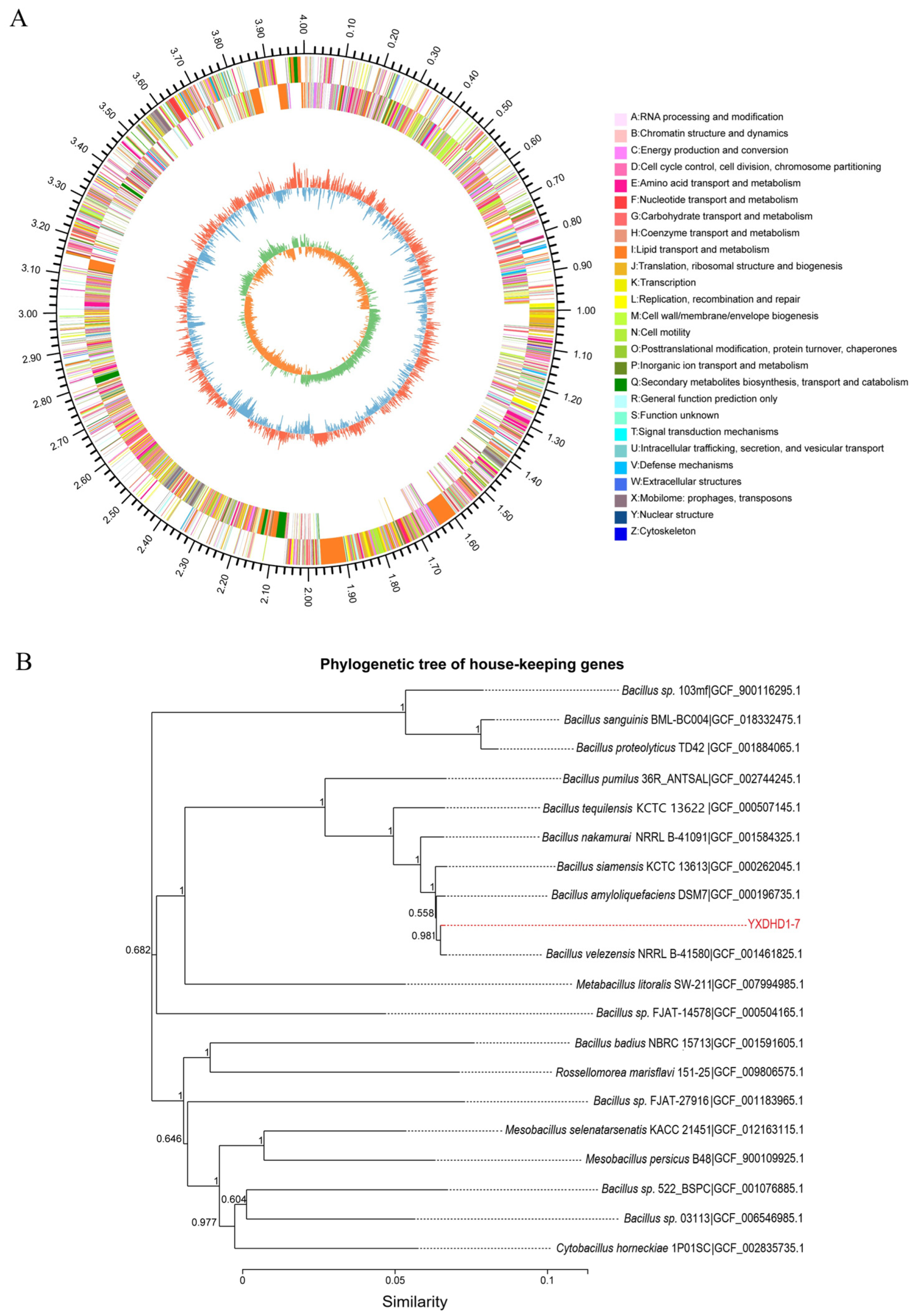 Microorganisms 12 00921 g005