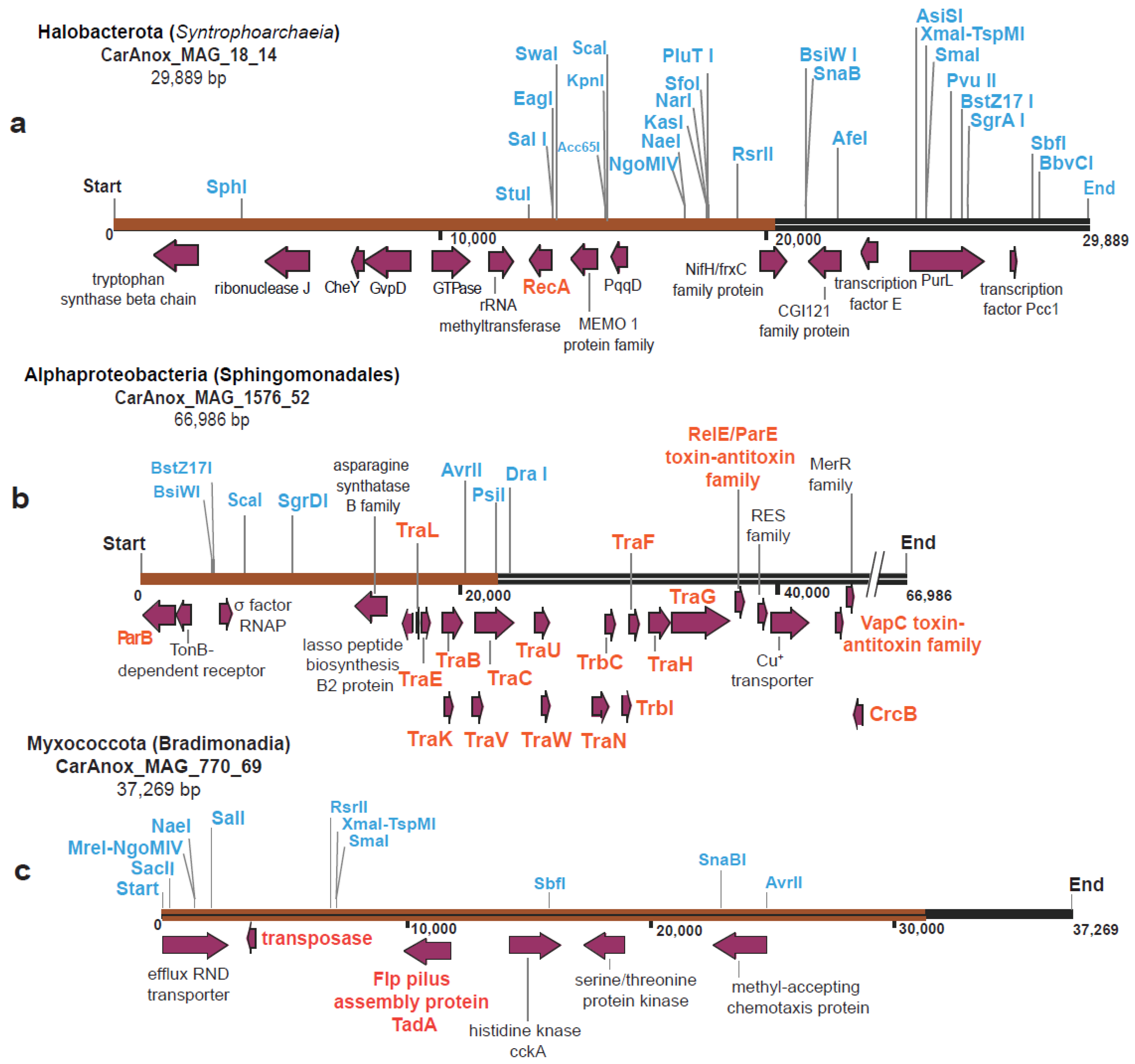 Microorganisms 12 00929 g003