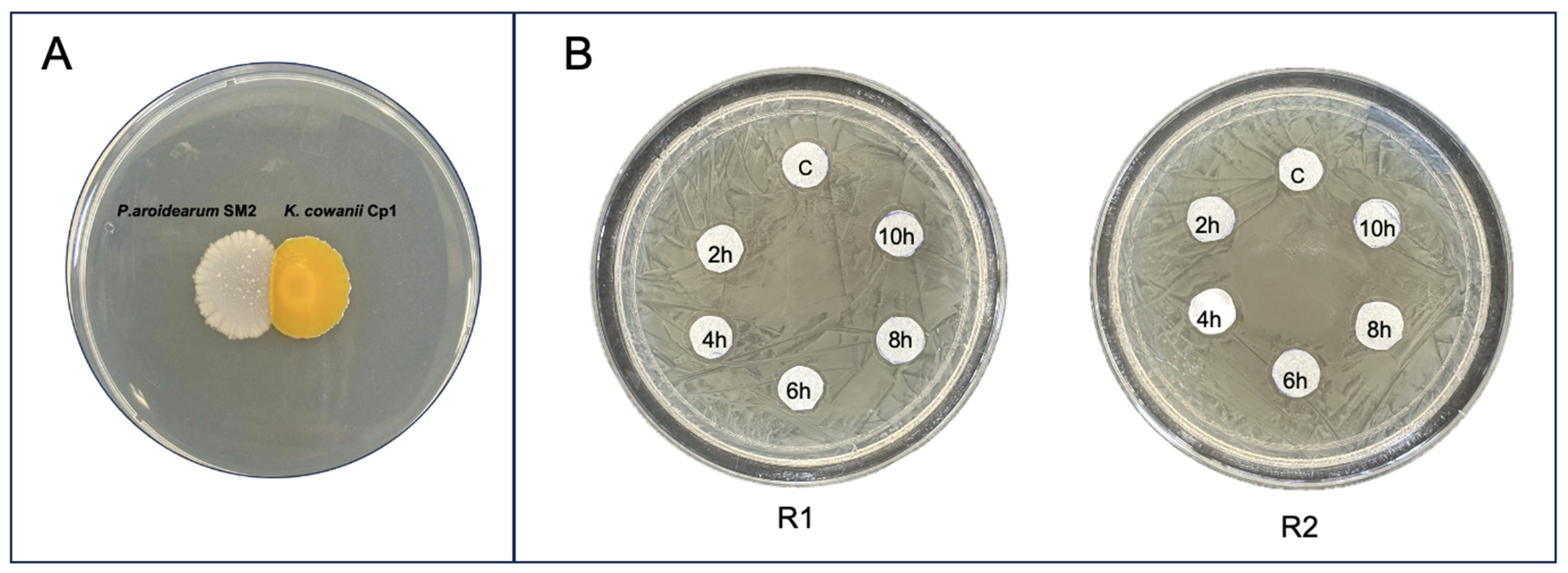 Microorganisms 12 00930 g007 Microorganisms 12 00930 g007