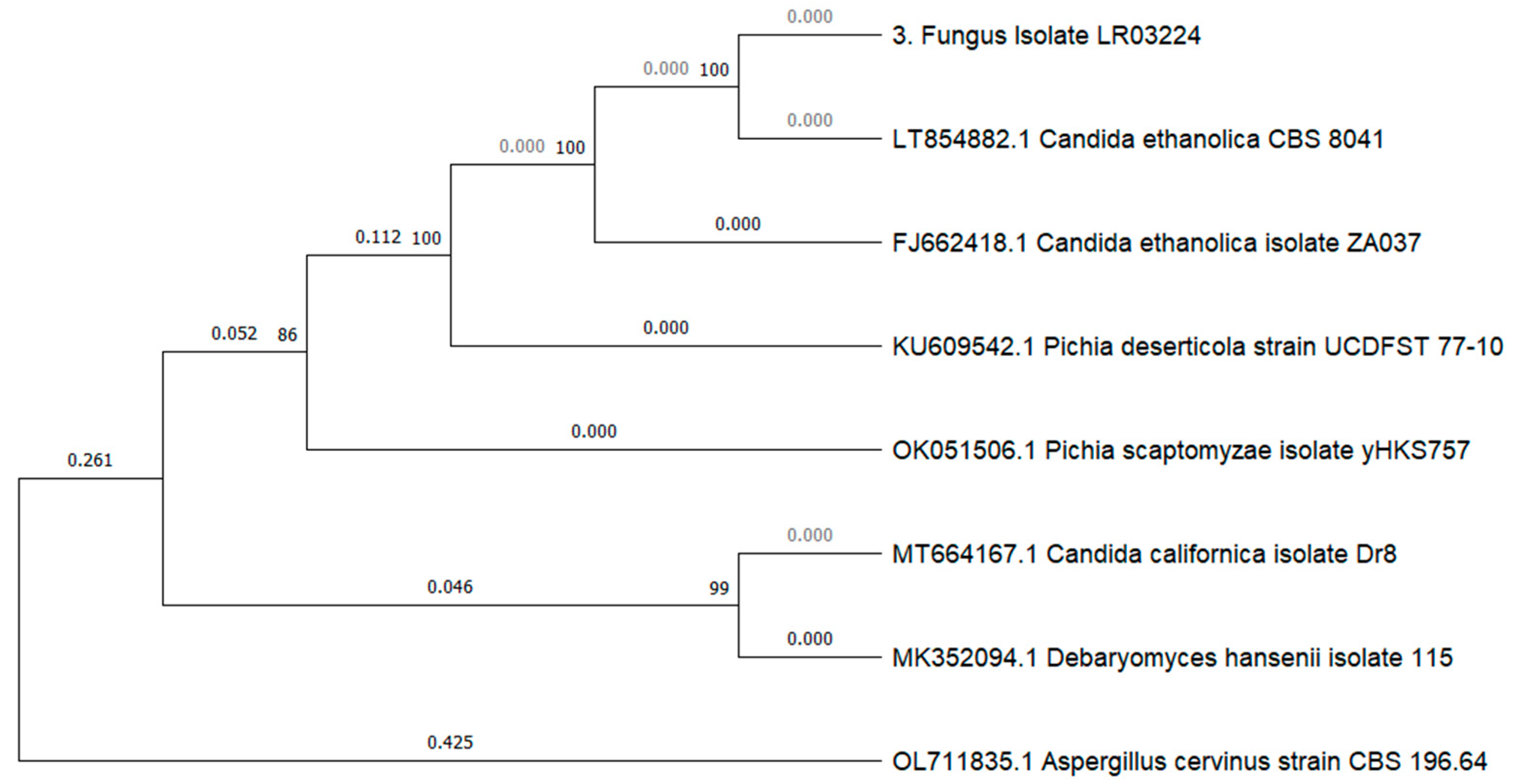 Microorganisms 12 00937 g005