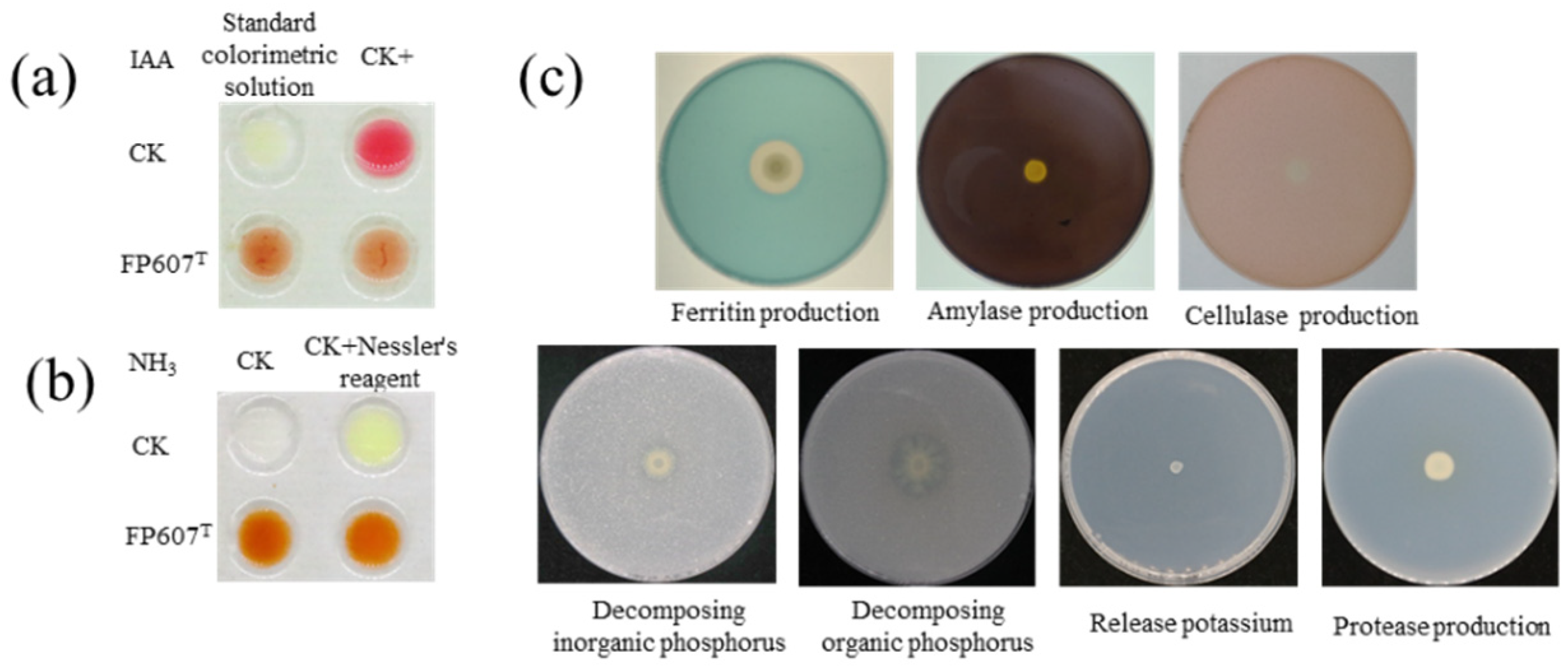 Microorganisms 12 00944 g002