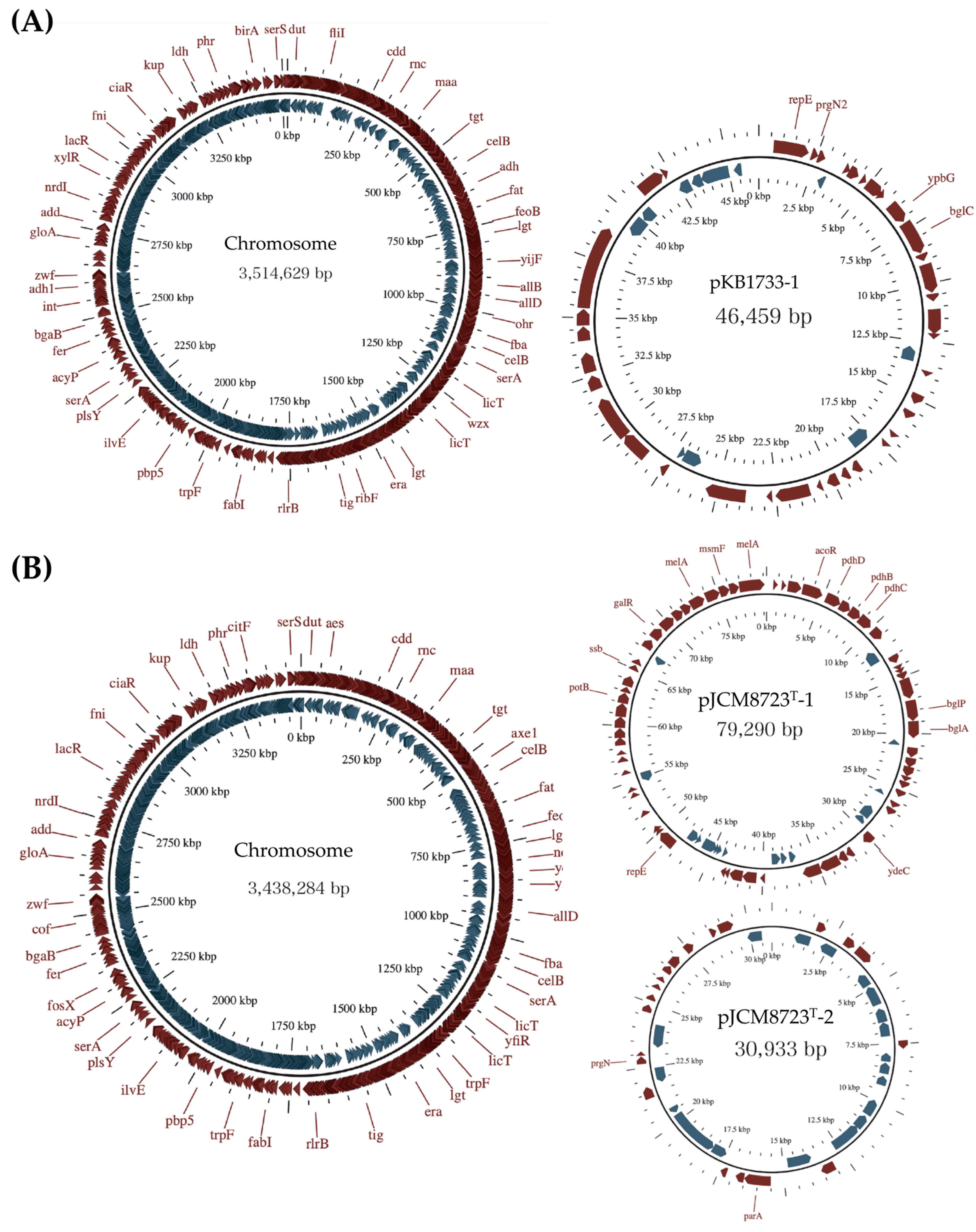 Microorganisms 12 00953 g001