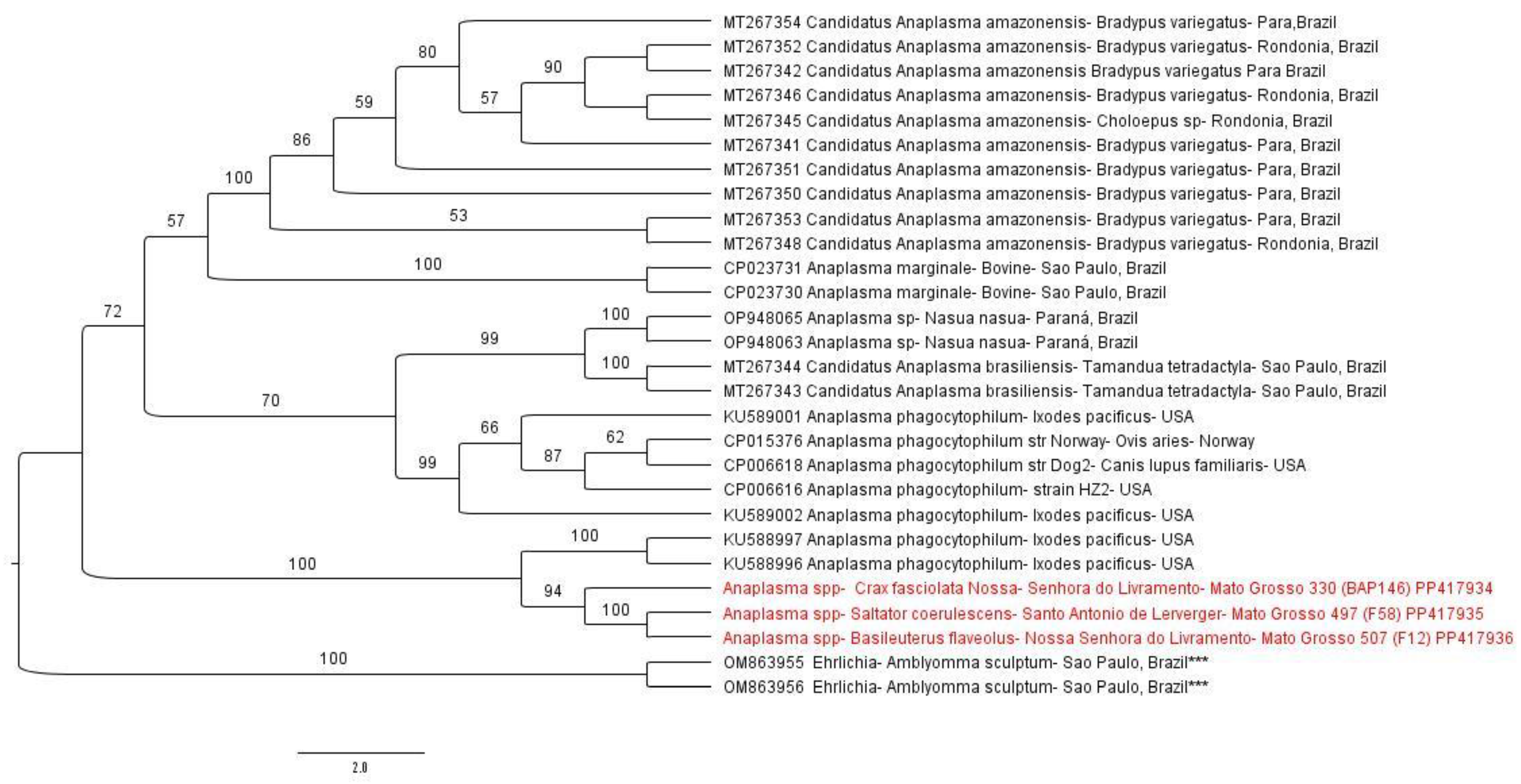 Microorganisms 12 00962 g005