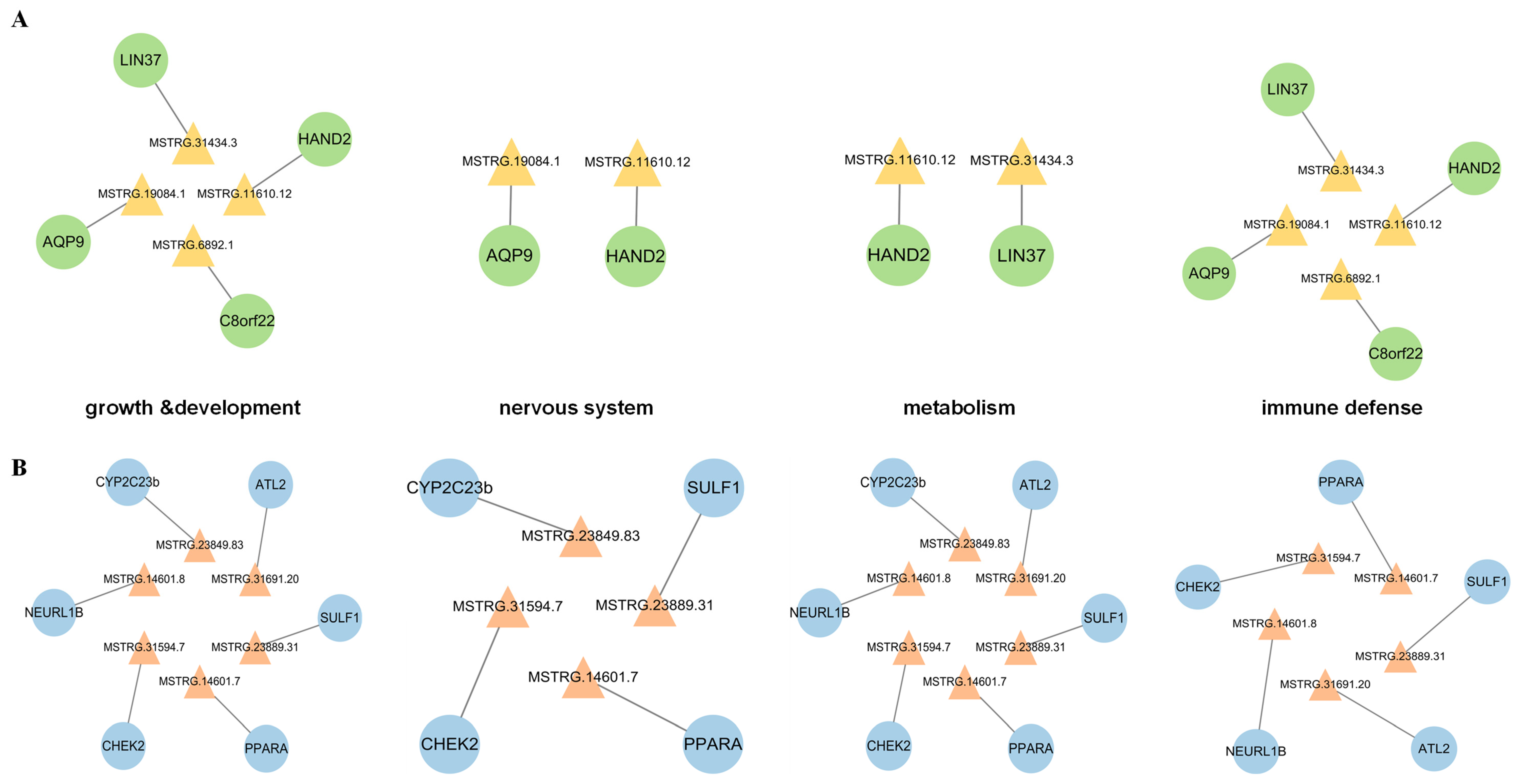 Microorganisms 12 00971 g005a