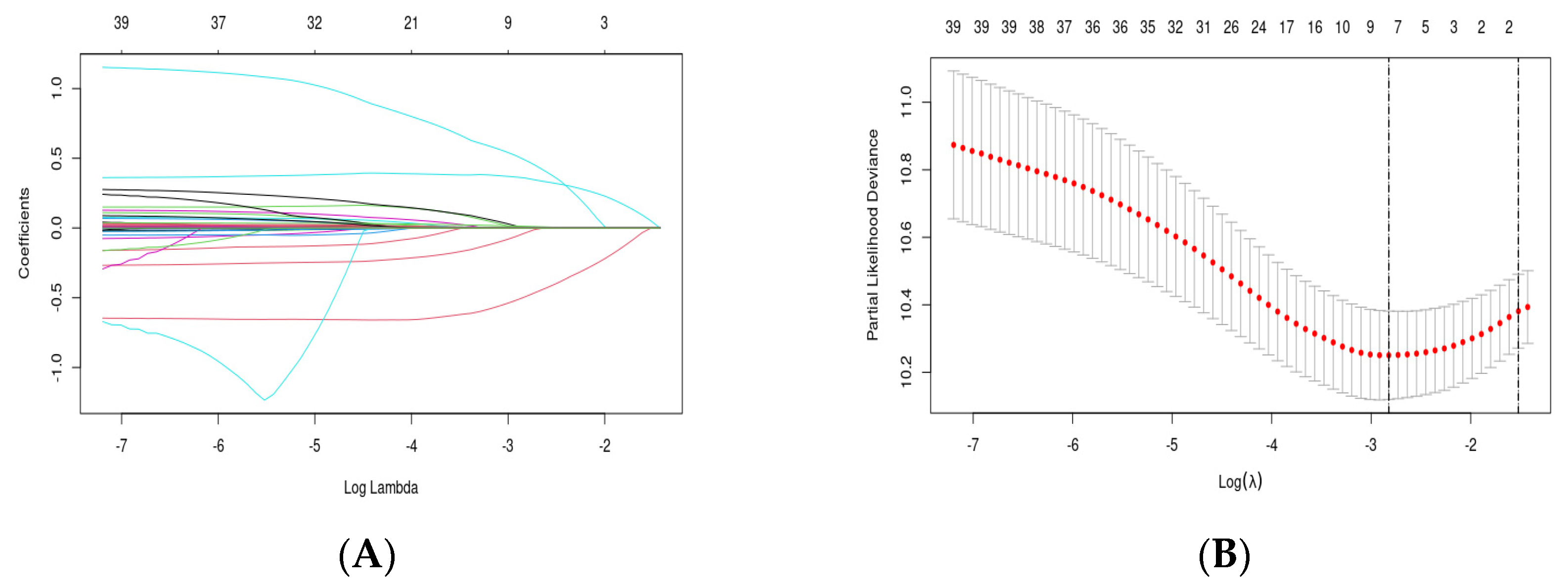 Microorganisms 12 00976 g002