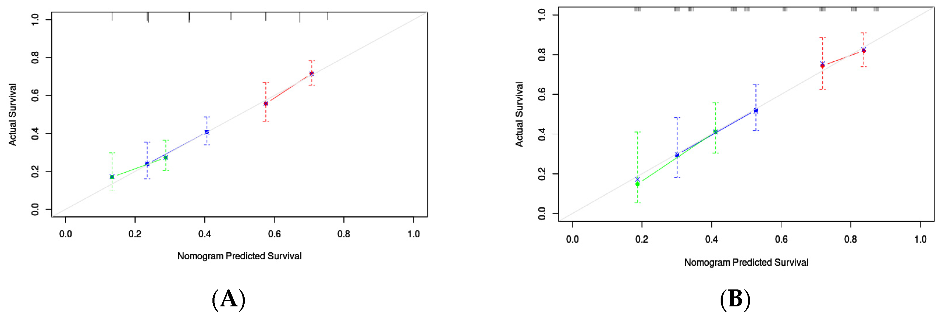 Microorganisms 12 00976 g005