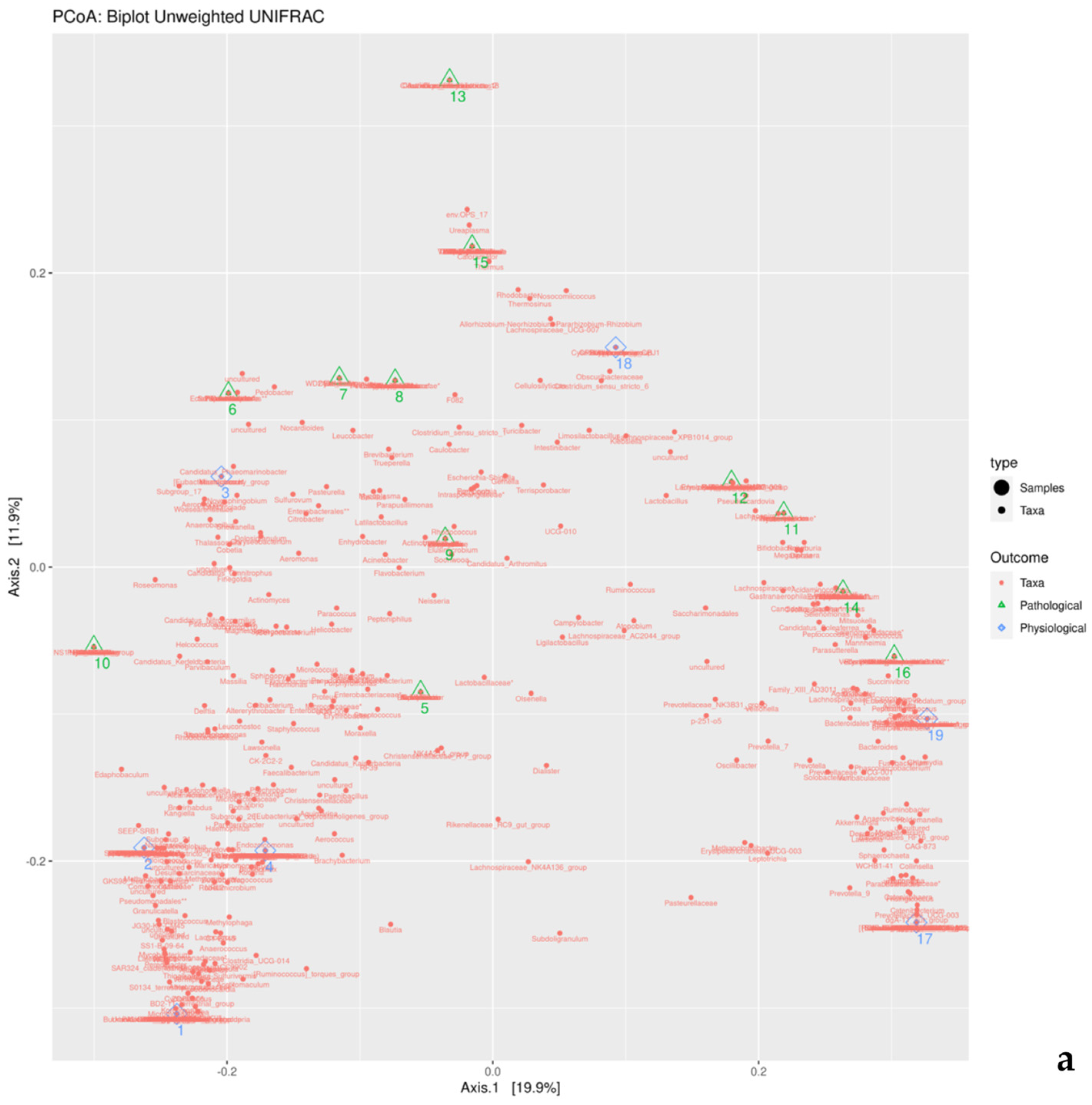 Microorganisms 12 00981 g004a