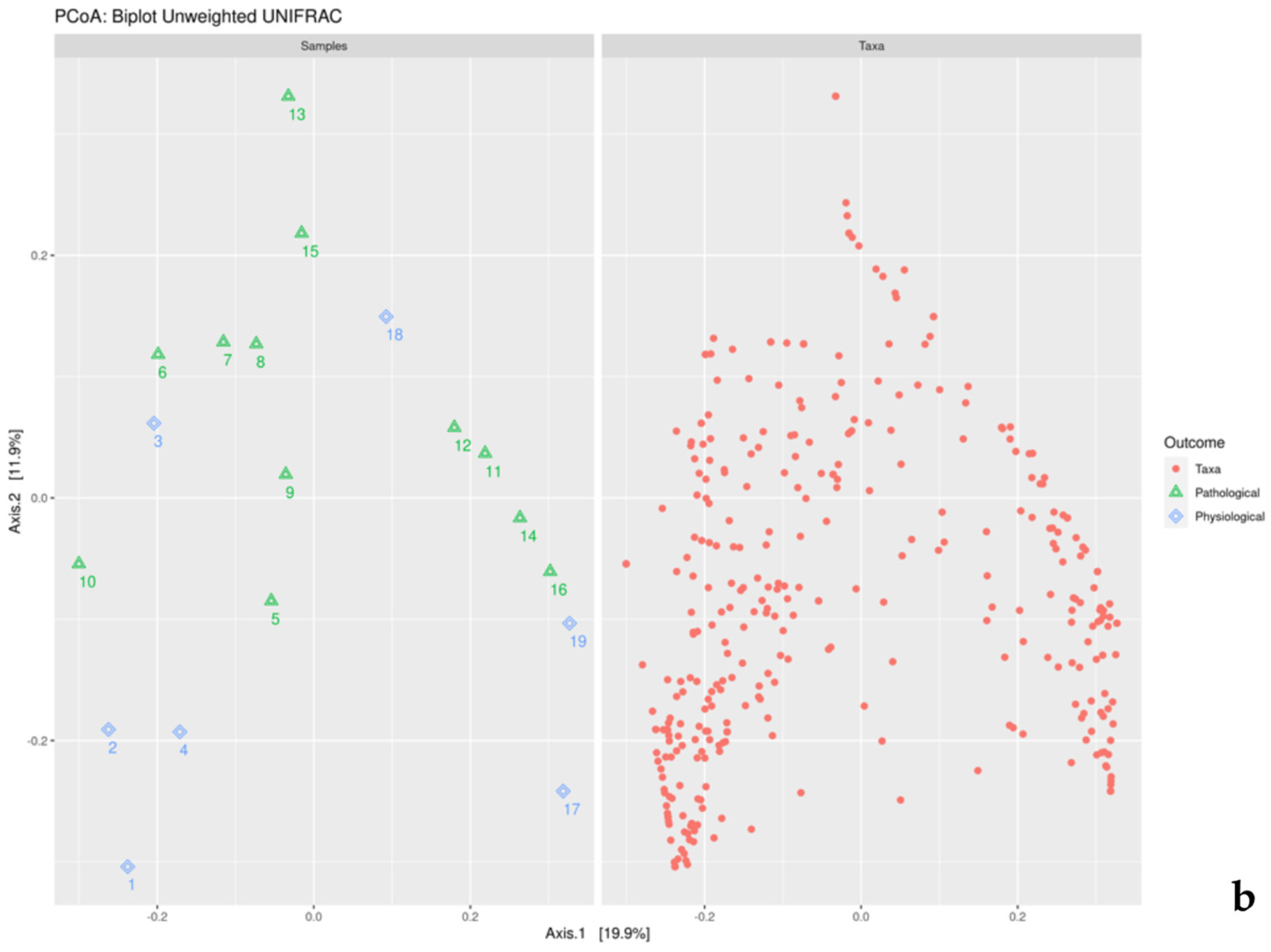 Microorganisms 12 00981 g004b