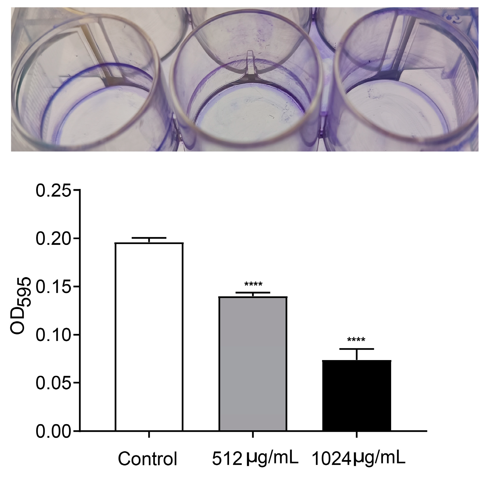 Microorganisms 12 00985 g005