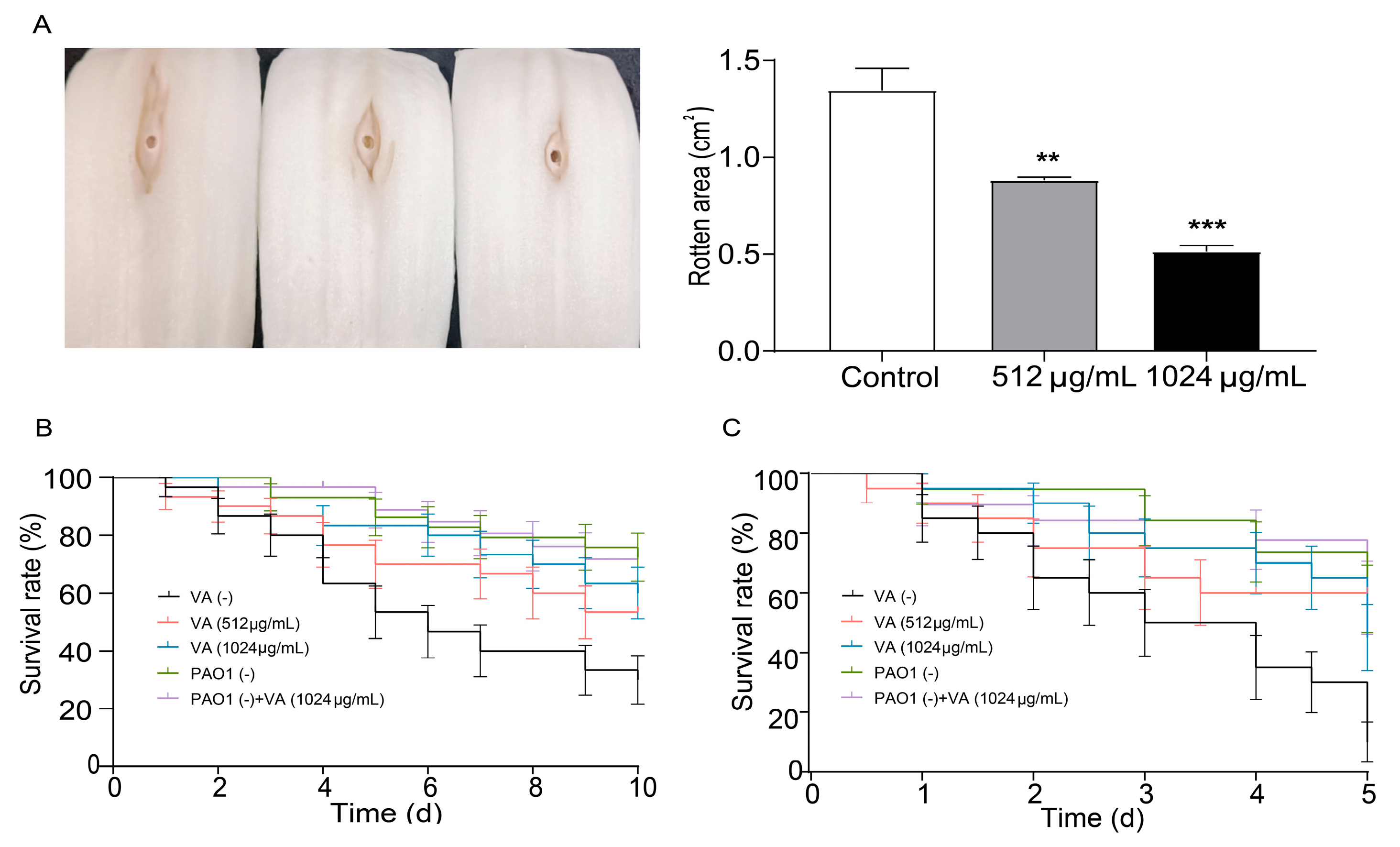 Microorganisms 12 00985 g006