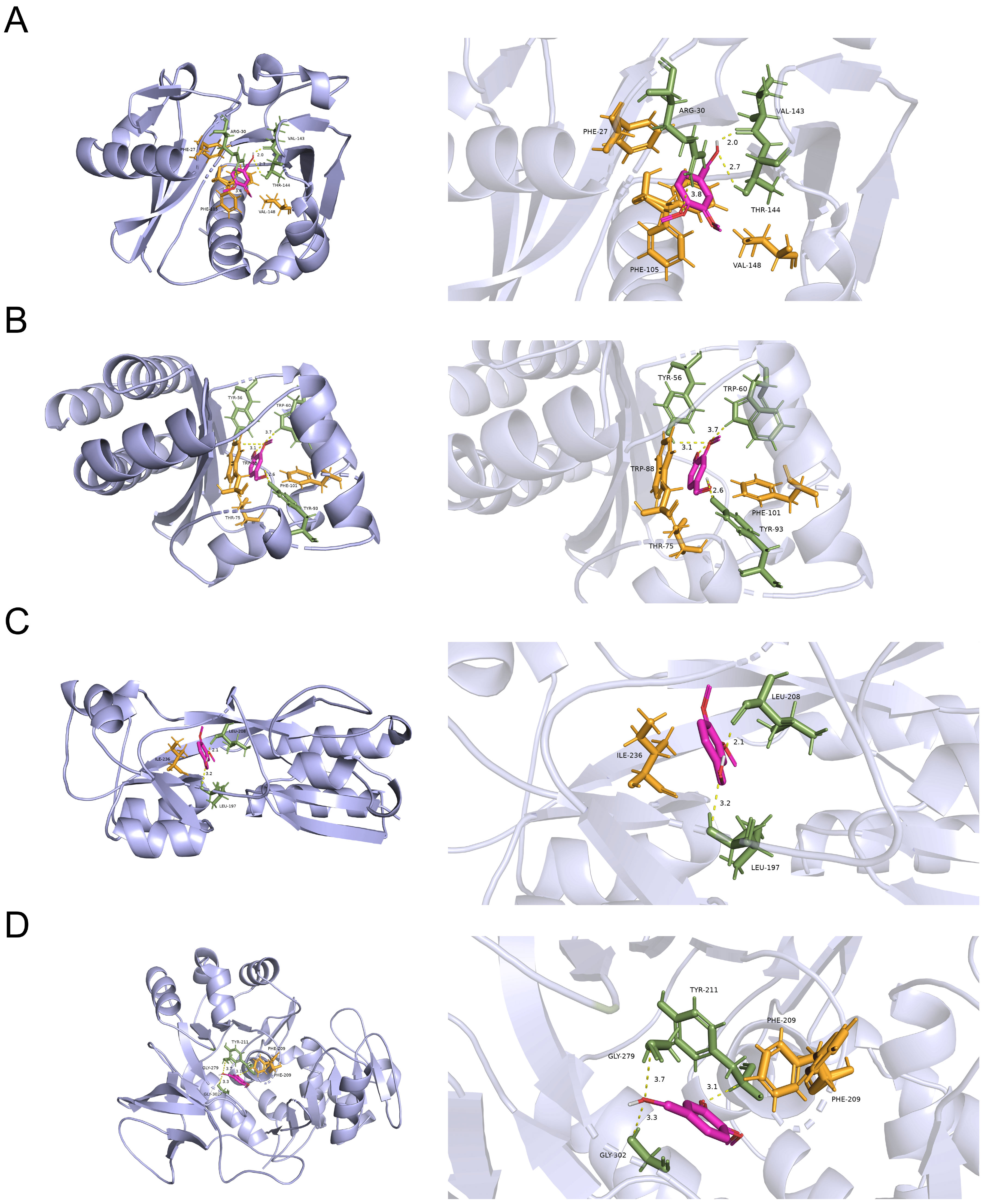 Microorganisms 12 00985 g007