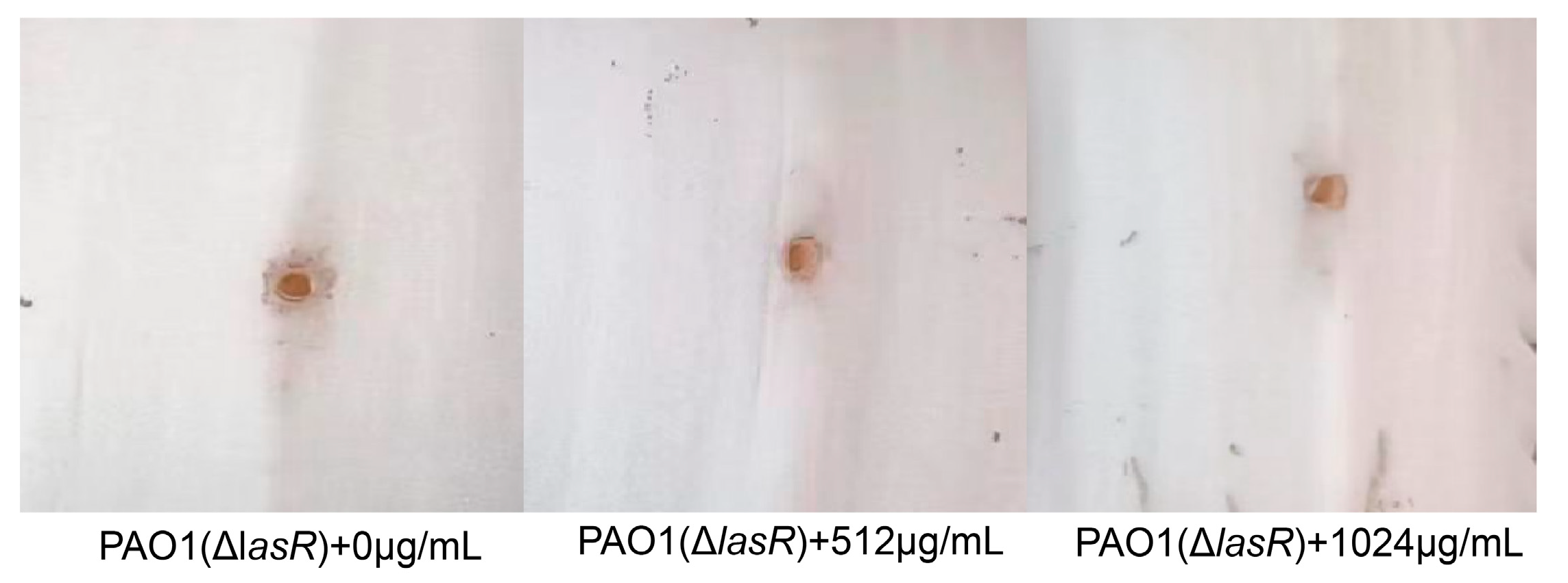 Microorganisms 12 00985 g009