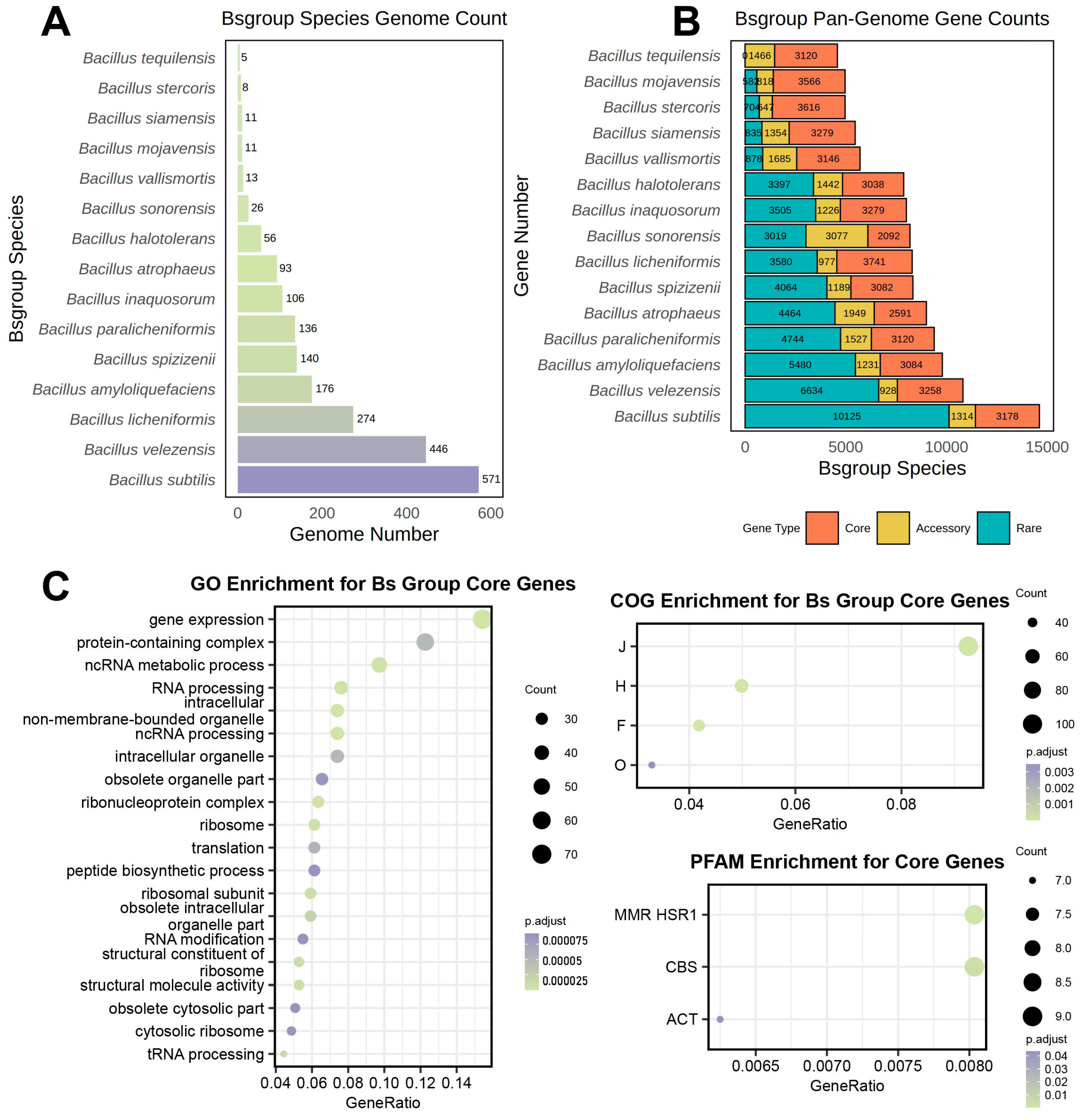 Microorganisms 12 00986 g001