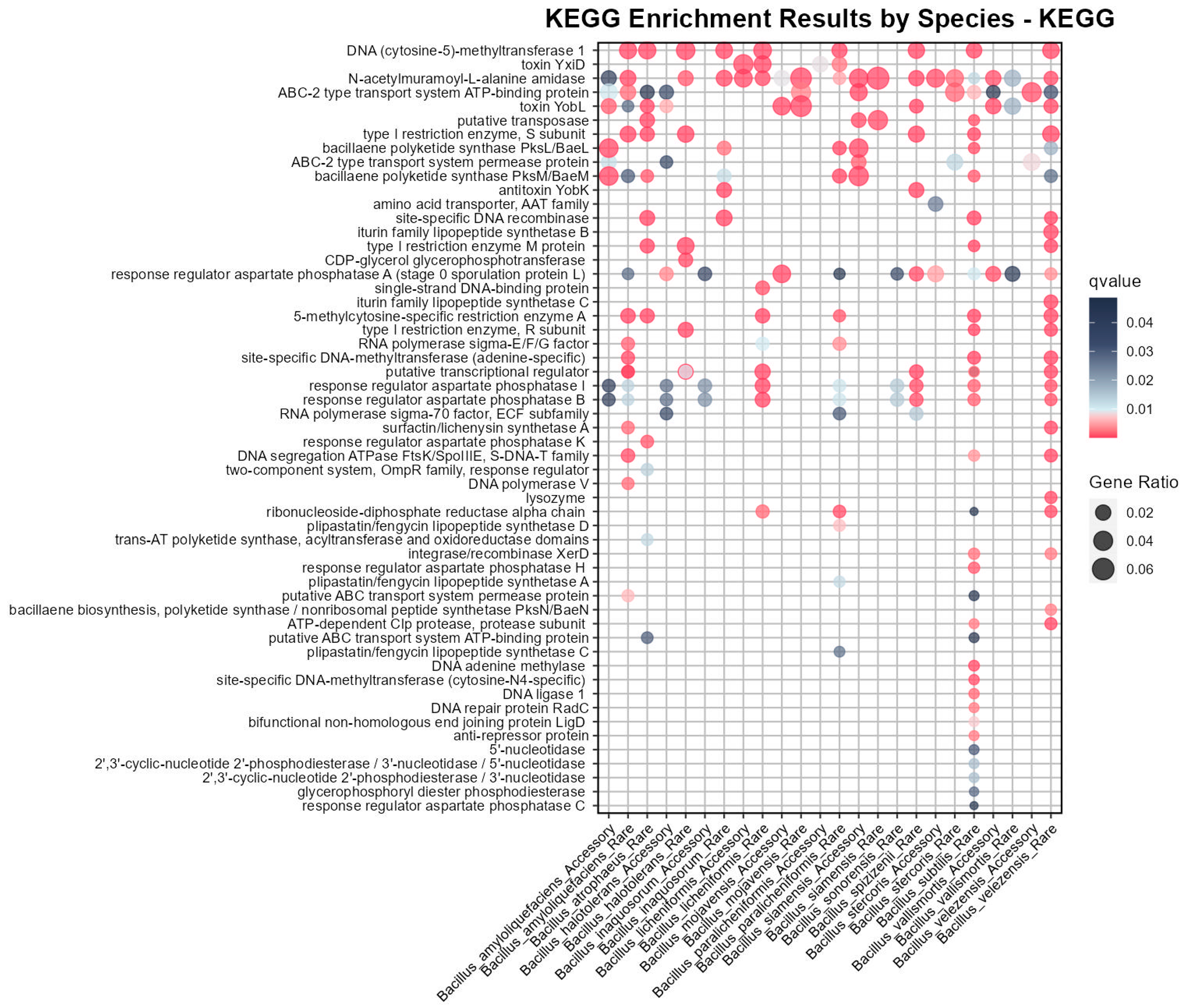 Microorganisms 12 00986 g004