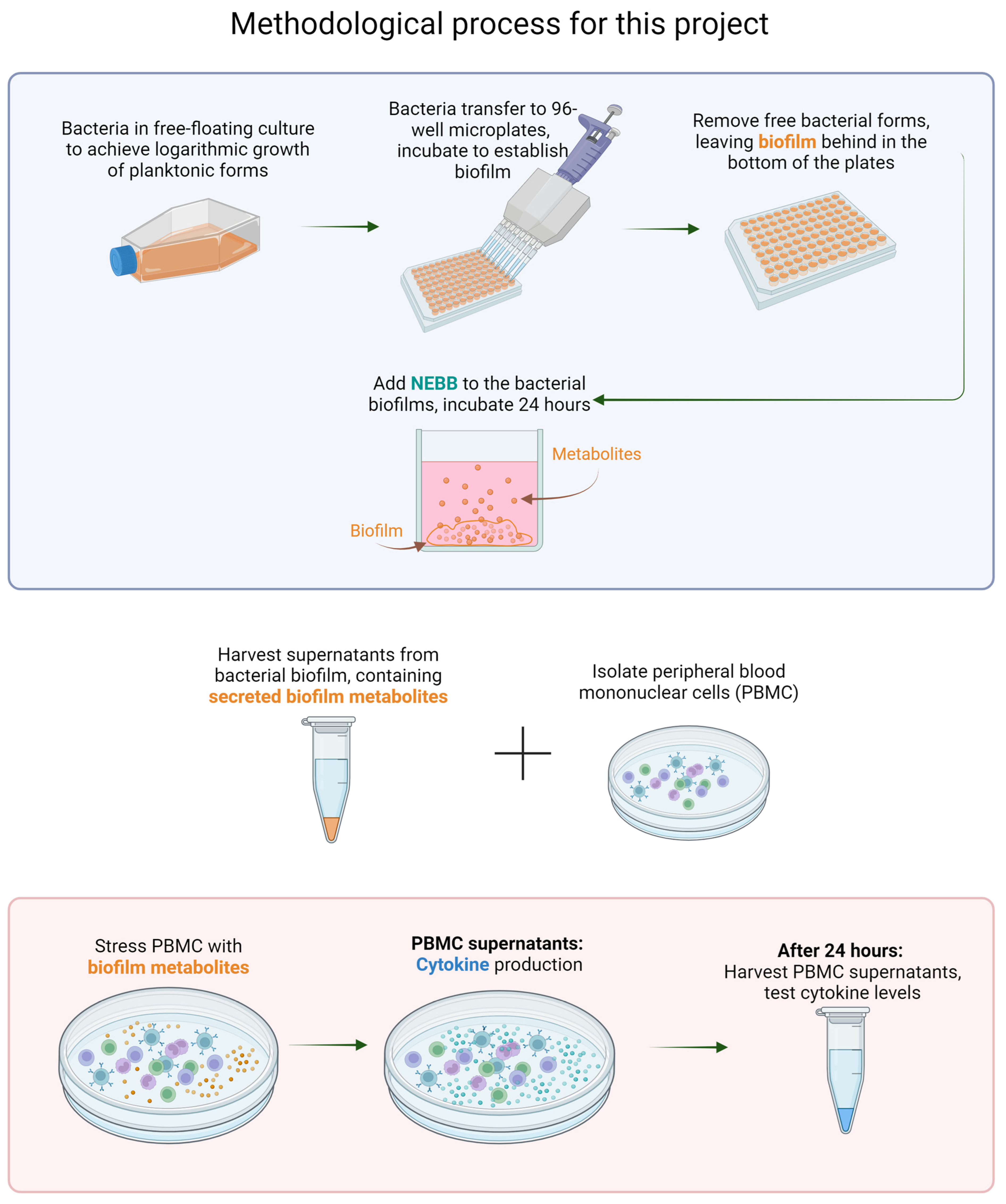 Microorganisms 12 00991 g002