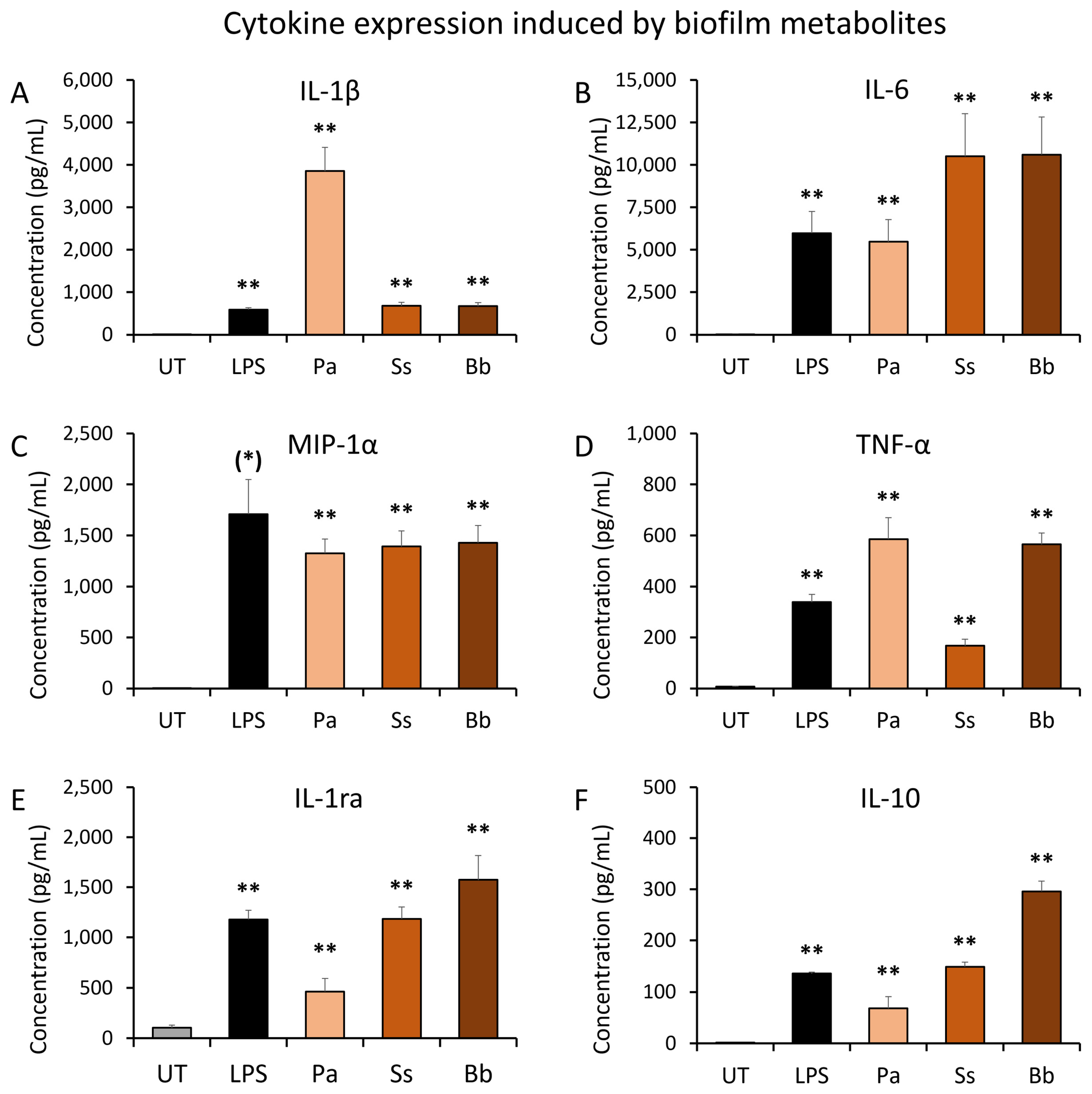 Microorganisms 12 00991 g003