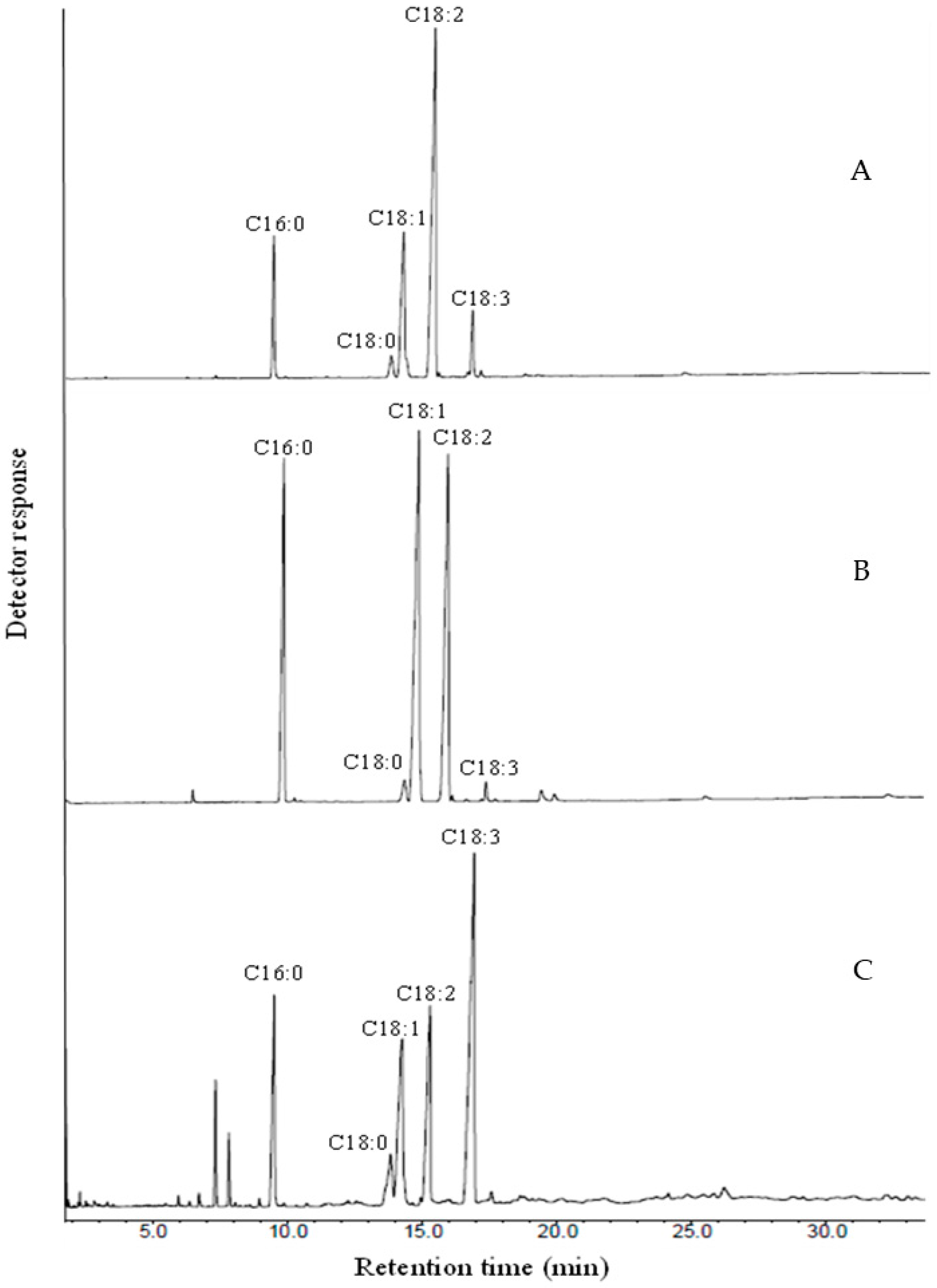 Microorganisms 12 00992 g001