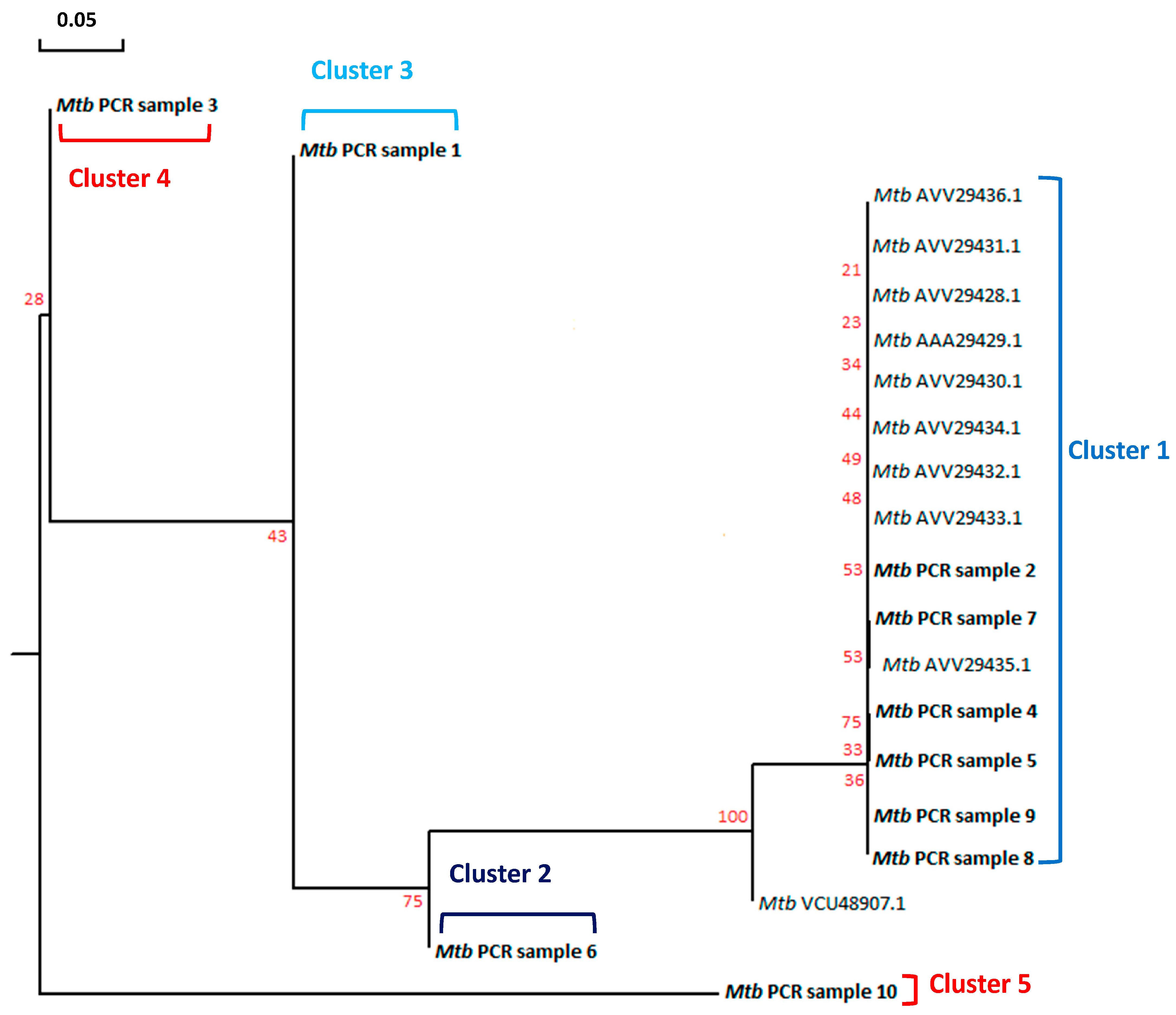Microorganisms 12 01001 g005