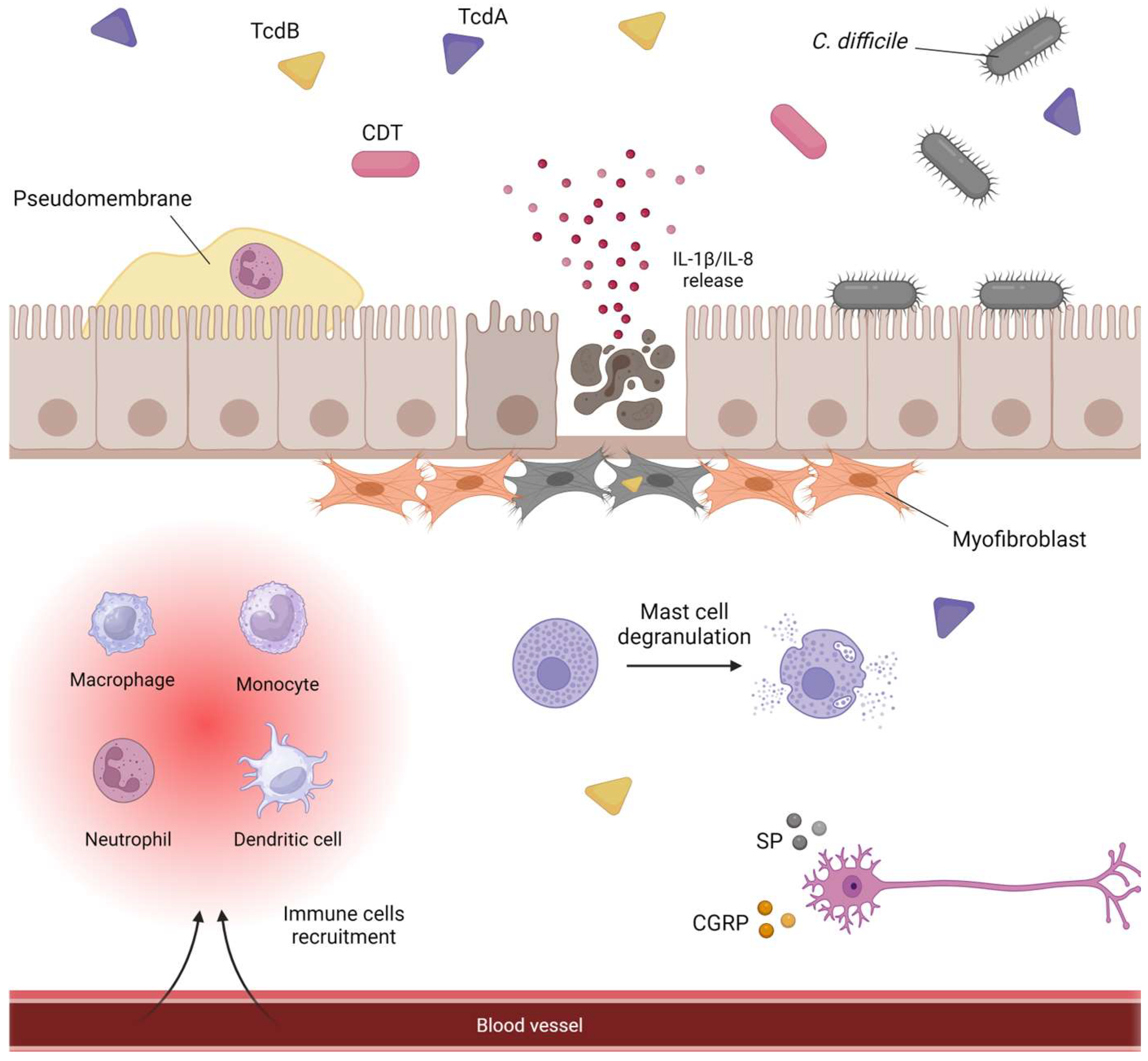 Microorganisms 12 01004 g003