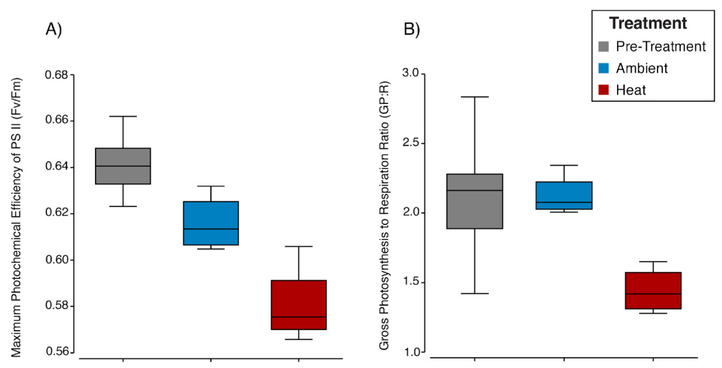 Microorganisms 12 01005 g001